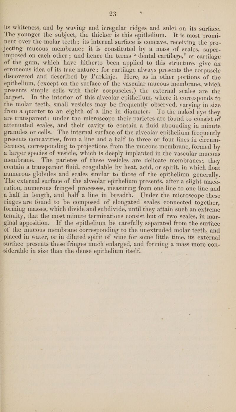 * its whiteness, and by waving and irregular ridges and sulci on its surface. The younger the subject, the thicker is this epithelium. It is most promi¬ nent over the molar teeth; its internal surface is concave, receiving the pro¬ jecting mucous membrane; it is constituted by a mass of scales, super¬ imposed on each other; and hence the terms “ dental cartilage,” or cartilage of the gum, which have hitherto been applied to this structure, give an erroneous idea of its true nature; for cartilage always presents the corpuscle discovered and described by Purkinje. Here, as in other portions of the epithelium, (except on the surface of the vascular mucous membrane, which presents simple cells with their corpuscles,) the external scales are the largest. In the interior of this alveolar epithelium, where it corresponds to the molar teeth, small vesicles may be frequently observed, varying in size from a quarter to an eighth of a line in diameter. To the naked eye they are transparent; under the microscope their parietes are found to consist of attenuated scales, and their cavity to contain a fluid abounding in minute granules or cells. The internal surface of the alveolar epithelium frequently presents concavities, from a line and a half to three or four lines in circum¬ ference, corresponding to projections from the mucous membrane, formed by a larger species of vesicle, which is deeply implanted in the vascular mucous membrane. The parietes of these vesicles are delicate membranes; they contain a transparent fluid, coagulable by heat, acid, or spirit, in which float numerous globules and scales similar to those of the epithelium generally. The external surface of the alveolar epithelium presents, after a slight mace¬ ration, numerous fringed processes, measuring from one line to one line and a half in length, and half a line in breadth. Under the microscope these ringes are found to be composed of elongated scales connected together, forming masses, which divide and subdivide, until they attain such an extreme tenuity, that the most minute terminations consist but of two scales, in mar¬ ginal apposition. If the epithelium be carefully separated from the surface of the mucous membrane corresponding to the unextruded molar teeth, and placed in water, or in diluted spirit of wine for some little time, its external surface presents these fringes much enlarged, and forming a mass more con¬ siderable in size than the dense epithelium itself.