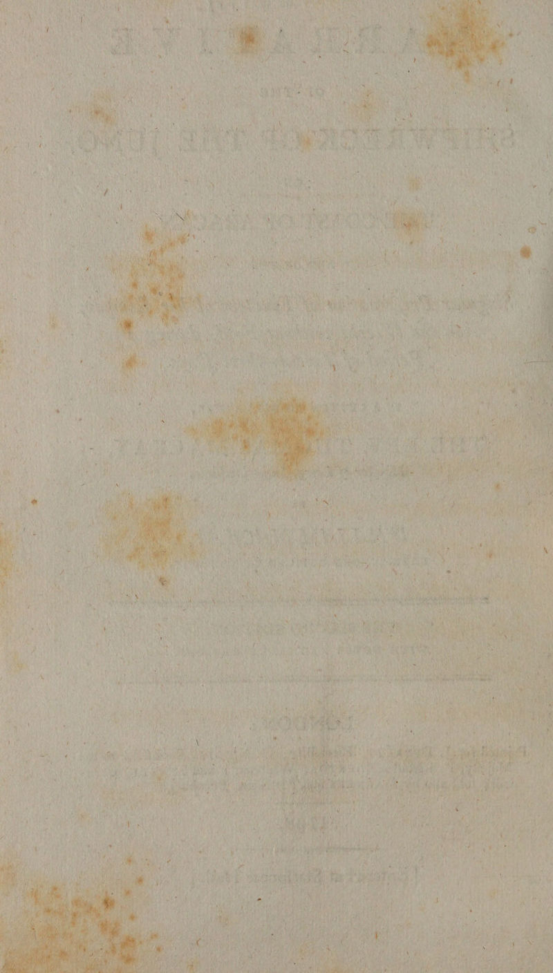 r / \ i * * • \ •j •. i i