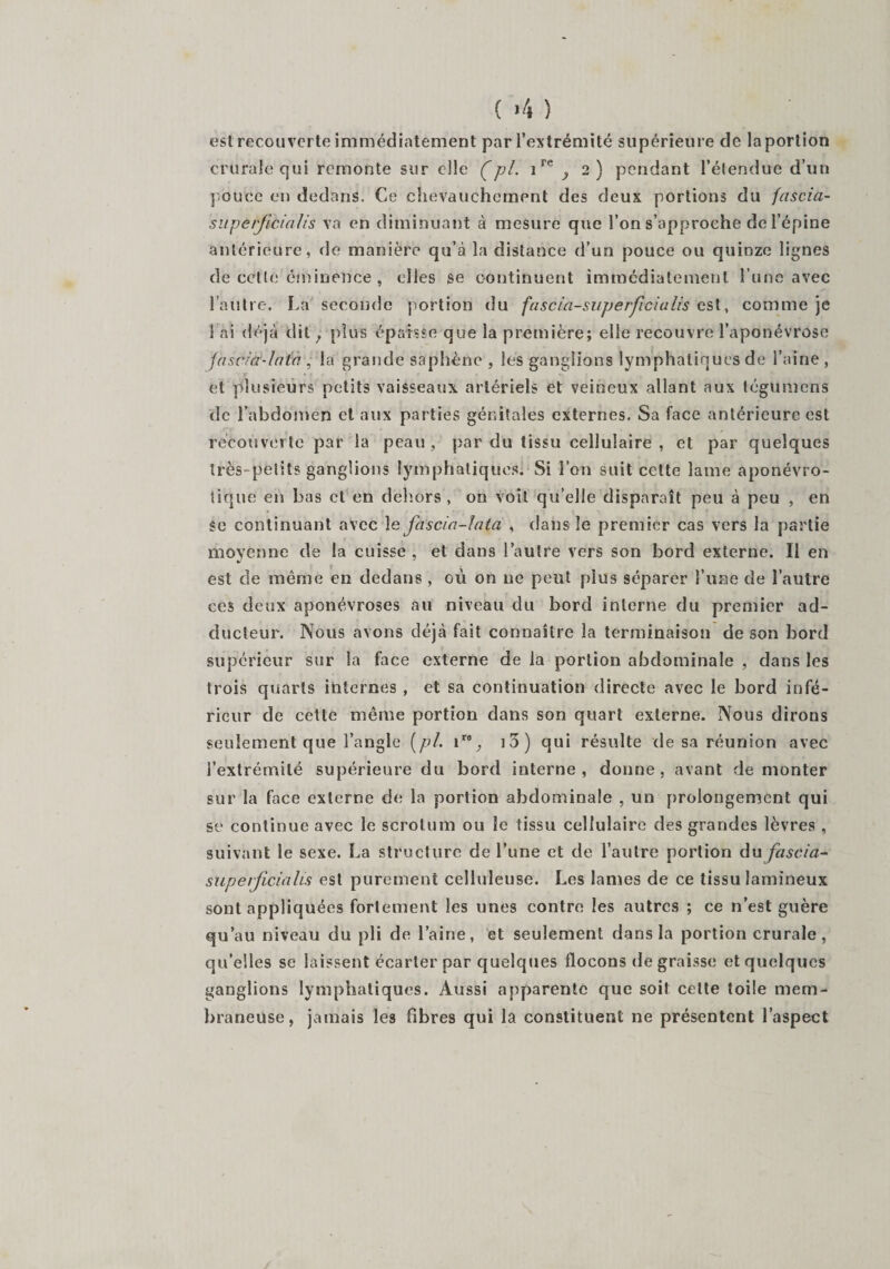 ( *4 ) est recouverte immédiatement par l’extrémité supérieure de la portion crurale qui remonte sur elle (pi. ire ^ 2) pendant l’étendue d’un pouce en dedans. Ce chevauchement des deux portions du fascia- supevjlciaUs va en diminuant à mesure que l’on s’approche de l’épine antérieure, de manière qu’à la distance d’un pouce ou quinze lignes de cette éminence , elles se continuent immédiatement l’une avec l’autre. La seconde portion du fascia-superfîcialis est, comme je 1 ai déjà dit, plus épaisse que la première; elle recouvre l’aponévrose jascid-lath , la grande saphène , les ganglions lymphatiques de l’aine , et plusieurs petits vaisseaux artériels et veineux allant aux tégumens de l’abdomen et aux parties génitales externes. Sa face antérieure est recouverte par la peau, par du tissu cellulaire , et par quelques très-petits ganglions lymphatiques. Si l’on suit celte lame aponévro- tique en bas et en dehors , on voit qu’elle disparaît peu à peu , en se continuant avec le fascia-ïata , dans le premier cas vers la partie moyenne de la cuisse , et dans l’autre vers son bord externe. Il en est de même en dedans , où on ne peut plus séparer l’une de l’autre ces deux aponévroses au niveau du bord interne du premier ad¬ ducteur. Nous avons déjà fait connaître la terminaison de son bord supérieur sur la face externe de la portion abdominale , dans les trois quarts internes , et sa continuation directe avec le bord infé¬ rieur de cette même portion dans son quart externe. Nous dirons seulement que l’angle (pl. ir% i3) qui résulte de sa réunion avec l’extrémité supérieure du bord interne, donne, avant de monter sur la face externe de la portion abdominale , un prolongement qui se continue avec le scrotum ou le tissu cellulaire des grandes lèvres , suivant le sexe. La structure de l’une et de l’autre portion du fascia- superficialis est purement celluleuse. Les lames de ce tissu lamineux sont appliquées fortement les unes contre les autres ; ce n’est guère qu’au niveau du pli de l’aine, et seulement dans la portion crurale, qu’elles se laissent écarter par quelques flocons de graisse et quelques ganglions lymphatiques. Aussi apparente que soit celte toile mem¬ braneuse, jamais les fibres qui la constituent ne présentent l’aspect
