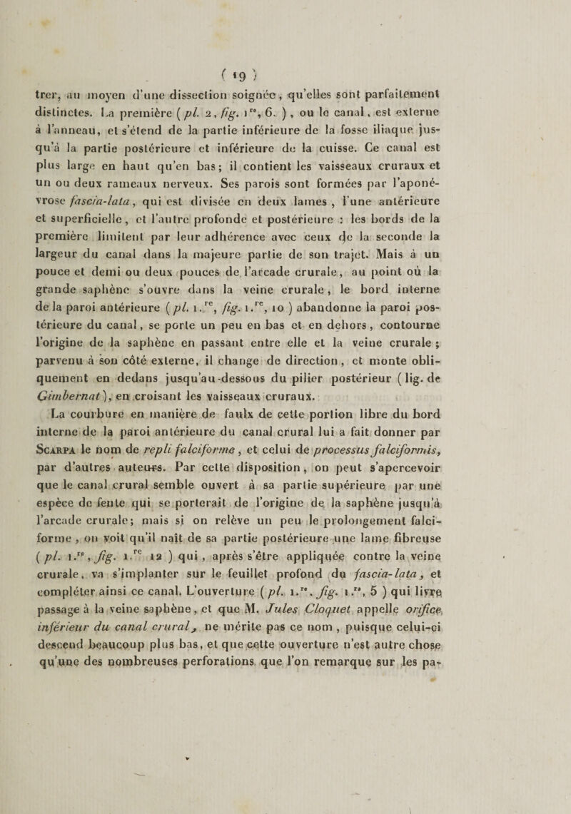 ( *9 ) trer, au moyen d une dissection soignée , qu elles sont parfaitement distinctes. La première ( pi. 2, fig. ir% 6. ) , ou le canaL, est externe à l’anneau, et s’étend de la partie inférieure de la fosse iliaque jus¬ qu’à la partie postérieure et inférieure de la cuisse. Ce canal est plus large en haut qu’en bas; il contient les vaisseaux cruraux et un ou deux rameaux nerveux. Ses parois sont formées par l’aponé¬ vrose fascia-lata, qui est divisée en deux lames, l’une antérieure et superficielle, et l’autre profonde et postérieure : les bords de la première limitent par leur adhérence avec ceux r)e la seconde la largeur du canal dans la majeure partie de son trajet. Mais à un pouce et demi ou deux pouces de l’arcade crurale, au point où la grande saphène s’ouvre dans la veine crurale, le bord interne de la paroi antérieure [pi, 1.re, fig. i.rc, 10 ) abandonne la paroi pos¬ térieure du canal, se porte un peu en bas et en dehors, contourne l’origine de la saphène en passant entre elle et la veine crurale ; parvenu à son côté externe, il change de direction, et monte obli¬ quement en dedans jusqu’au-dessous du pilier postérieur (lig.de Gùnbernat), en croisant les vaisseaux cruraux. La courbure en manière de faulx de cette portion libre du bord interne de la paroi antérieure du canal crural lui a fait donner par Scarpà le nom de repli falciforme, et celui de processus Jiilcformis, par d’autres auteurs. Par celle disposition , on peut s’apercevoir que le canal crural semble ouvert à sa partie supérieure par une espèce de fente qui se porterait de l’origine de la saphène jusqu a l’arcade crurale; mais si on relève un peu le prolongement falci¬ forme , on voit qu’il naît de sa partie postérieure une lame fibreuse ( pi. 1, Jig. i.re 12 ) qui, après s’être appliquée contre la veine crurale, va s’implanter sur le feuillet profond du fascia-lata, et compléter ainsi ce canal. L’ouverture ( pl. 1.re. jïg. 1., 5 ) qui livre passage à la veine saphène, et que M. Jules Clocjuet appelle orifice inférieur du canal cruralj ne mérite pas ce nom , puisque celui-ci descend beaucoup plus bas, et que cette ouverture n’est autre chose qu’une des nombreuses perforations, que l’on remarque sur les pa»