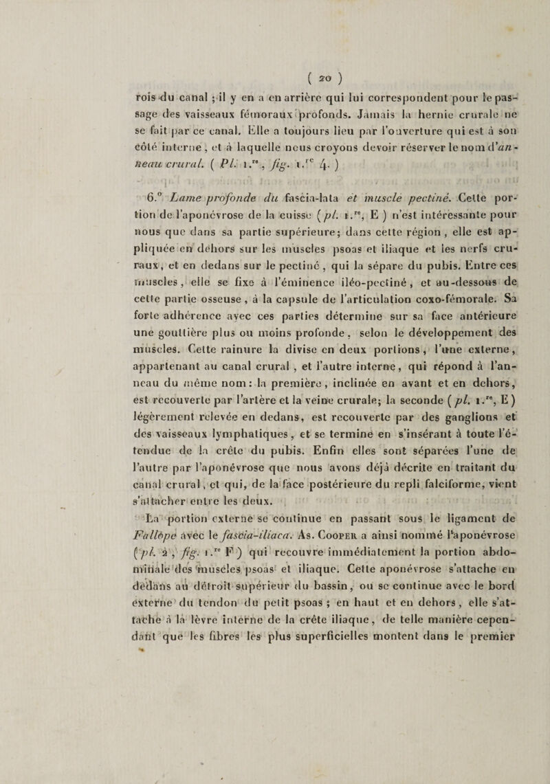 rois du canal ; il y en a en arrière qui lui correspondent pour le pas¬ sage des vaisseaux fémoraux profonds. Jamais la hernie crurale ne se fait par ce canal, hile a toujours lieu par l’ouverture qui est à son côté interne, et «à laquelle nous croyous devoir réserver le nom (.Van¬ neau crural. ( PL i.ra, fi g. i.re [\. ) 6.° Lame profonde du fascia-lata et muscle pectine. Cette por¬ tion de l’aponévrose de la cuisse [pl. t.re, E ) n’est intéressante pour nous que dans sa partie supérieure; dans cette région, elle est ap¬ pliquée en dehors sur les muscles psoas et iliaque et les nerfs cru¬ raux, et en dedans sur le pectine , qui la sépare du pubis. Entre ces muscles, elle se fixe à l’éminence iléo-pectiné , et au-dessous de cette partie osseuse, à la capsule de l’articulation coxo-fémorale. Sa forte adhérence avec ces parties détermine sur sa face antérieure une gouttière plus ou moins profonde, selon le développement des muscles. Celte rainure la divise en deux portions, l’une externe, appartenant au canal crural , et l’autre interne, qui répond à l’an¬ neau du même nom: la première, inclinée en avant et en dehors, est recouverte par Tarière et la veine crurale; la seconde (pl. i.r% E) légèrement relevée en dedans, est recouverte par des ganglions et des vaisseaux lymphatiques, et se termine en s’insérant à toute l’é¬ tendue de la crête du pubis. Enfin elles sont séparées Tune de l’autre par l’aponévrose que nous avons déjà décrite en traitant du canal crural, et qui, de la face postérieure du repli falciforme, vient s’attacher entre les deux. La portion externe se continue en passant sous le ligament de Fallôpe avec le fascia-iliaca. As. Cooper a ainsi nommé l'aponévrose ( pl. 2 , fig. i.re F ) qui recouvre immédiatement la portion abdo- miriale des muscles psoas et iliaque. Cette aponévrose s’attache en dedans au détroit supérieur du bassin, ou se continue avec le bord externe du tendon du petit psoas ; en haut et en dehors, elle s’at¬ tache à la lèvre interne de la crête iliaque, de telle manière cepen¬ dant que les fibres les plus superficielles montent dans le premier
