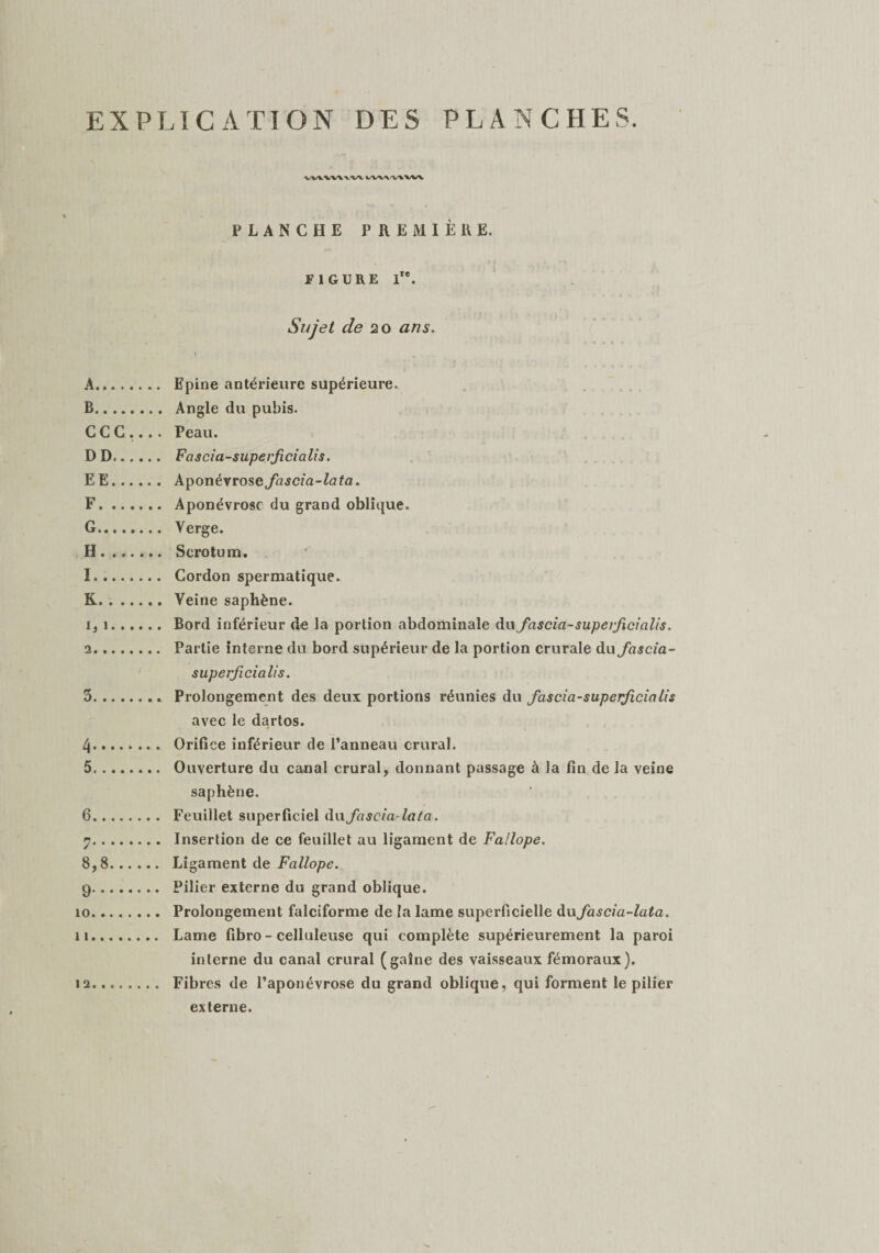 EXPLICATION DES PLANCHES. VVWWvW WV'V/VUWX PLANCHE PREMIÈRE. FIGURE lre. Sujet de 20 ans. A. Epine antérieure supérieure. B. Angle du pubis. C C C .... Peau. DD. Fascia-superjicialis. EE. Aponévrosefascia-lata. F. Aponévrose du grand oblique. G. Verge. H. Scrotum. 1 . Cordon spermatique. K.Veine saphène. 1, 1. Bord inférieur de la portion abdominale du fascia-supevficialis, 2 . Partie interne du bord supérieur de la portion crurale du fascia- superficialis. 3 .. Prolongement des deux portions réunies du fascia-superficia lis avec le dartos. 4 . Orifice inférieur de l’anneau crural. 5 . Ouverture du canal crural, donnant passage à la fin de la veine saphène. 6 . Feuillet superficiel dufascia-lata. 7 . Insertion de ce feuillet au ligament de Fallope. 8,8. Ligament de Fallope. 9. Pilier externe du grand oblique. îo. Prolongement falciforme de la lame superficielle du fascia-lata. 11 . Lame fibro - celluleuse qui complète supérieurement la paroi interne du canal crural (gaine des vaisseaux fémoraux). 12 . Fibres de l’aponévrose du grand oblique, qui forment le pilier externe.