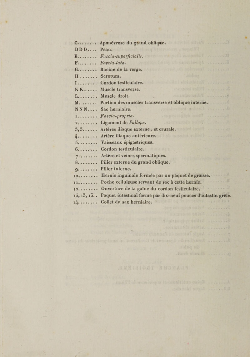 C. Aponévrose du grand oblique. DDD.... Peau. E. Fascia-supeificialis. F. Fascia-lata. G. Racine de la verge. H. Scrotum. I. Cordon testiculaire. RR. Muscle Iransverse. L. Muscle droit. M. Portion des muscles transverse et oblique interne. N N N ... . Sac herniaire. 1 . Fascia-piopria. 2 . Ligament de Fallope. 3,3. Artères iliaque externe, et crurale. 4 . Artère iliaque antérieure. 5 . Vaisseaux épigastriques. 6 .. Cordon testiculaire. 7 . Artère et veines spermatiques. 8 . Pilier externe du grand oblique. g. Pilier interne. .. Hernie inguinale formée par un paquet de graisse. 11 . Poche celluleuse servant de sac à cette hernie. 12 . Ouverture de la gaine du cordon testiculaire. i3, i3, i3.. Paquet intestinal formé par dix-neuf pouces d’intestin grêle. i4. Collet du sac herniaire.
