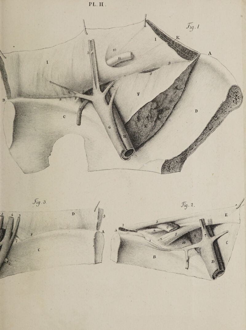 PL II.