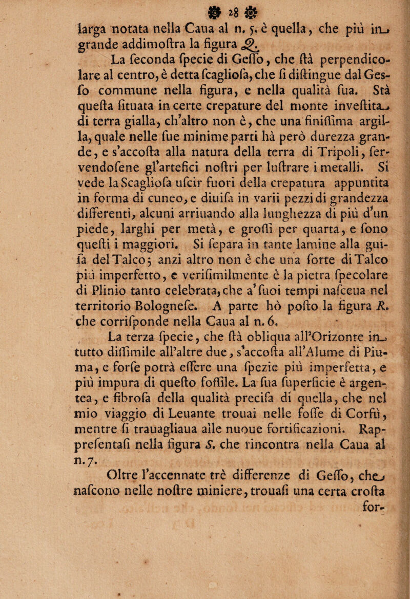 larga notata nella Cana al n. 5* è quella, che più in_» grande addimoftra la figura La feconda fpecie di Geflò, che ftà perpendico¬ lare al centro, è detta fcagliofa, che fi diftingue dal Ges- fo commune nella figura, e nella qualità fua. Sta quella limata in certe crepature del monte inveititi di terra gialla, ch'altro non è, che una finilìima argil¬ la, quale nelle lue minime parti hà però durezza gran¬ de, e s’accolla alla natura della terra di Tripoli, fer- vendofene gl’artefici noftri per luftrare i metalli. Si vede laScagliofa ufcir fuori della crepatura appuntita in forma di cuneo, e diuila in varii pezzi di grandezza differenti, alcuni arriuando alla lunghezza di più d\in piede, larghi per metà, e grotti per quarta, e fono quelli i maggiori. Si fepara in tante lamine alla gui- fa delTalco$ anzi altro non è che una forte diTalco più imperfetto, e verifimilmente è la pietra fpecolare di Plinio tanto celebrata, che a*fuoi tempi nafceua nel territorio Bolognefe. A parte hò pollo la figura R. che corrifponde nella Caua al n. 6. La terza fpecie, che (là obliqua alPOrizonte in.» tutto difiìmile alPaltre due, s'accolla alfAlarne di Piu¬ ma, e forfè potrà effere una fpezie più imperfetta, e più impura di quello follile. La fua fuperficie è argen¬ tea, e fibrofa della qualità precifa di quella, che nel mio viaggio di Leuante trouai nelle folle di Corfù, mentre fi trauagliaua alle nuoue fortificazioni. Rap- prefentali nella figura S, che rincontra nella Caua al 11.7. Oltre Paccennate tré differenze di Getto, cho nafcono nelle noftre miniere, trouafi una certa crolla for-