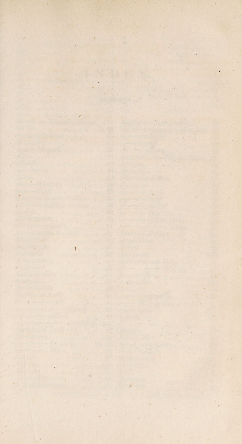 • /■ t / t i / I I . • *