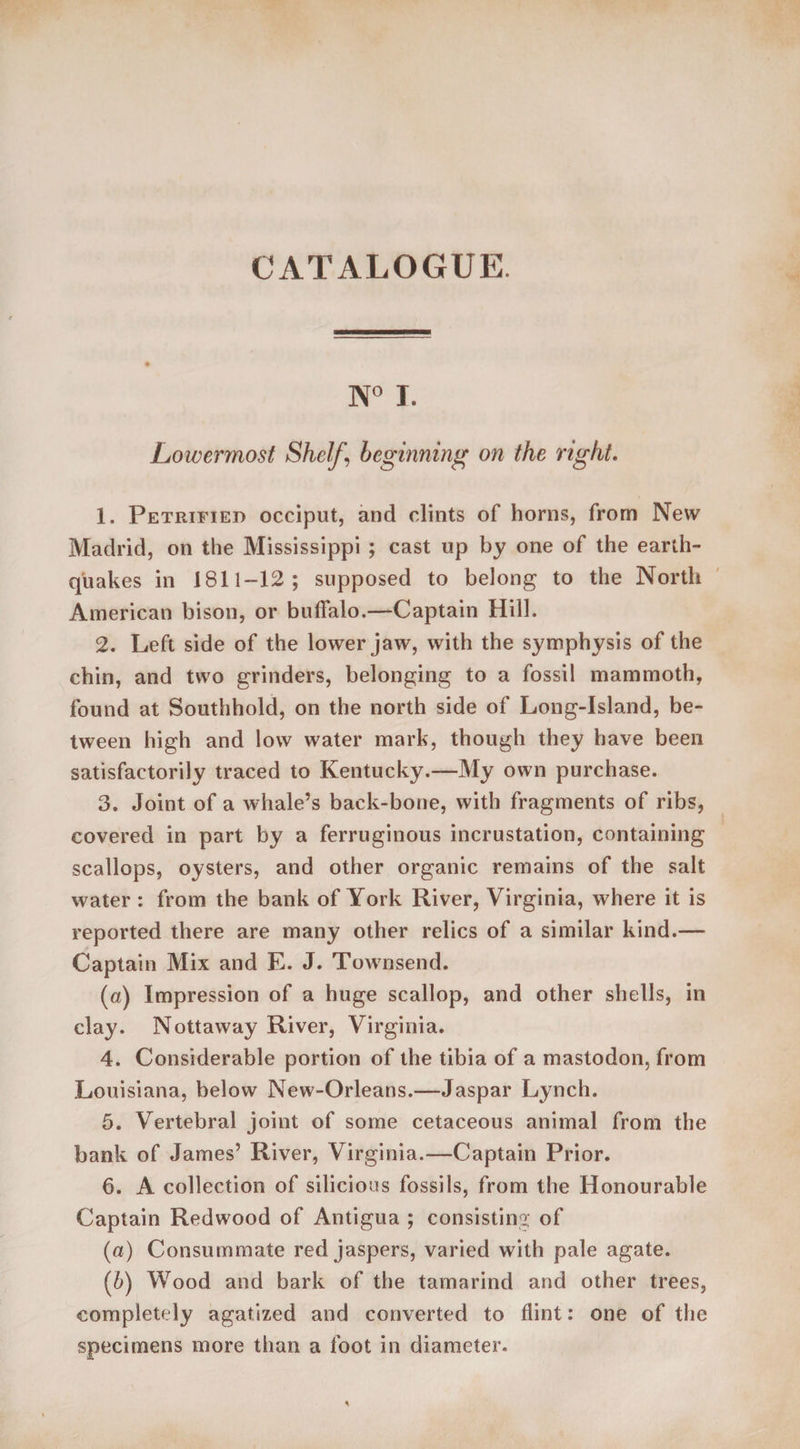 N° I. Lowermost Shelf \ beginning on the right. 1. Petrified occiput, and dints of horns, from New Madrid, on the Mississippi ; cast up by one of the earth¬ quakes in 1811-12; supposed to belong to the North American bison, or buffalo.—Captain Hill. 2. Left side of the lower jaw, with the symphysis of the chin, and two grinders, belonging to a fossil mammoth, found at Southhold, on the north side of Long-Island, be¬ tween high and low water mark, though they have been satisfactorily traced to Kentucky.—My own purchase. 3. Joint of a whale’s back-bone, with fragments of ribs, covered in part by a ferruginous incrustation, containing scallops, oysters, and other organic remains of the salt water : from the bank of York River, Virginia, where it is reported there are many other relics of a similar kind.— Captain Mix and E. J. Townsend. (a) Impression of a huge scallop, and other shells, in clay. Nottaway River, Virginia. 4. Considerable portion of the tibia of a mastodon, from Louisiana, below New-Orleans.—Jaspar Lynch. 5. Vertebral joint of some cetaceous animal from the bank of James’ River, Virginia.—Captain Prior. 6. A collection of silicious fossils, from the Honourable Captain Redwood of Antigua ; consisting of (а) Consummate red jaspers, varied with pale agate. (б) Wood and bark of the tamarind and other trees, completely agatized and converted to flint: one of the specimens more than a foot in diameter.