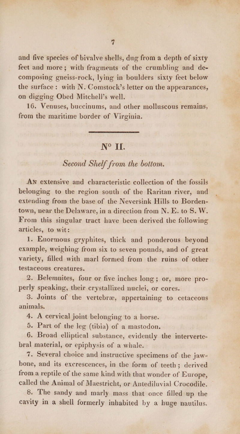 and five species of bivalve shells, dug from a depth of sixty feet and more; with fragments of the crumbling and de¬ composing gneiss-rock, lying in boulders sixty feet below the surface : with N. Comstock’s letter on the appearances, on digging Obed Mitchell’s well. 16. Venuses, buccinums, and other molluscous remains, from the maritime border of Virginia. N° II. Second Shelf from the bottom. An extensive and characteristic collection of the fossils belonging to the region south of the Raritan river, and extending from the base of the Neversink Hills to Borden- town, near the Delaware, in a direction from N. E. to S. W. From this singular tract have been derived the following articles, to wit: 1. Enormous gryphites, thick and ponderous beyond example, weighing from six to seven pounds, and of great variety, filled with marl formed from the ruins of other testaceous creatures. 2. Belemnites, four or five inches long; or, more pro- perly speaking, their crystallized nuclei, or cores. 3. Joints of the vertebrae, appertaining to cetaceous animals. 4. A cervical joint belonging to a horse. 5. Part of the leg (tibia) of a mastodon. 6. Broad elliptical substance, evidently the interverte¬ bral material, or epiphysis of a whale. 7. Several choice and instructive specimens of the jaw¬ bone, and its excrescences, in the form of teeth ; derived from a reptile of the same kind with that wonder of Europe, called the Animal of Maestricht, or Antediluvial Crocodile. 8. The sandy and marly mass that once filled up the cavity in a shell formerly inhabited by a huge nautilus.