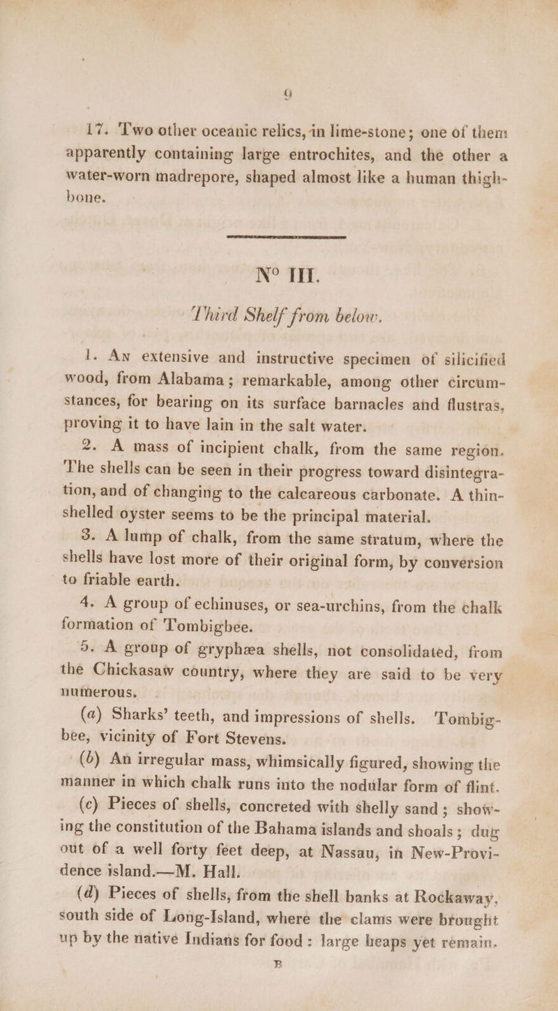 <1 17. Two other oceanic relics, in lime-stone; one of them apparently containing large entrochites, and the other a water-worn madrepore, shaped almost like a human thigh¬ bone. N° TIT, Third Shelf from below. 1. An extensive and instructive specimen of silicified wood, from Alabama; remarkable, among other circum¬ stances, for bearing on its surface barnacles and flustras, proving it to have lain in the salt water. 2. A mass of incipient chalk, from the same region. 1 he shells can be seen in their progress toward disintegra¬ tion, and of changing to the calcareous carbonate. A thin- shelled oyster seems to be the principal material. 3. A lump of chalk, from the same stratum, where the >hells have lost more of their original form, by conversion to friable earth. 4. A group of echinuses, or sea-urchins, from the chalk formation ot Tombigbee. 5. A group of gryphaea shells, not consolidated, from the Chickasaw country, where they are said to be very numerous. (a) Sharks’ teeth, and impressions of shells. Tombig¬ bee, vicinity of Fort Stevens. (b) An irregular mass, whimsically figured, showing the manner in which chalk runs into the nodular form of flint. (c) Pieces of shells, concreted with shelly sand; show- ing the constitution of the Bahama islands and shoals ; dug <>ut of a well forty feet deep, at Nassau, in New-Provi- dence island.—M. Hall. (d) Pieces of shells, from the shell banks at Rockaway, south side of Long-Island, where the clams were brought up by the native Indians for food : 1 arge heaps yet remain. B