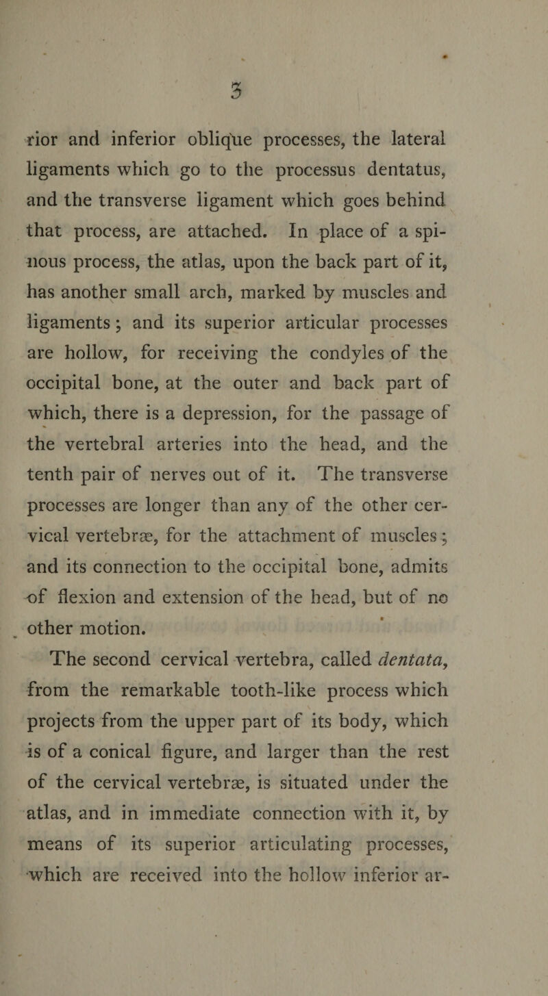 rior and inferior oblique processes, the lateral ligaments which go to the processus dentatus, and the transverse ligament which goes behind that process, are attached. In place of a spi¬ nous process, the atlas, upon the back part of it, has another small arch, marked by muscles and ligaments; and its superior articular processes are hollow, for receiving the condyles of the occipital bone, at the outer and back part of which, there is a depression, for the passage of the vertebral arteries into the head, and the tenth pair of nerves out of it. The transverse processes are longer than any of the other cer¬ vical vertebrae, for the attachment of muscles; and its connection to the occipital bone, admits of flexion and extension of the head, but of no other motion. ♦ The second cervical vertebra, called dentata, from the remarkable tooth-like process which projects from the upper part of its body, which is of a conical figure, and larger than the rest of the cervical vertebras, is situated under the atlas, and in immediate connection with it, by means of its superior articulating processes, which are received into the hollow inferior ar-