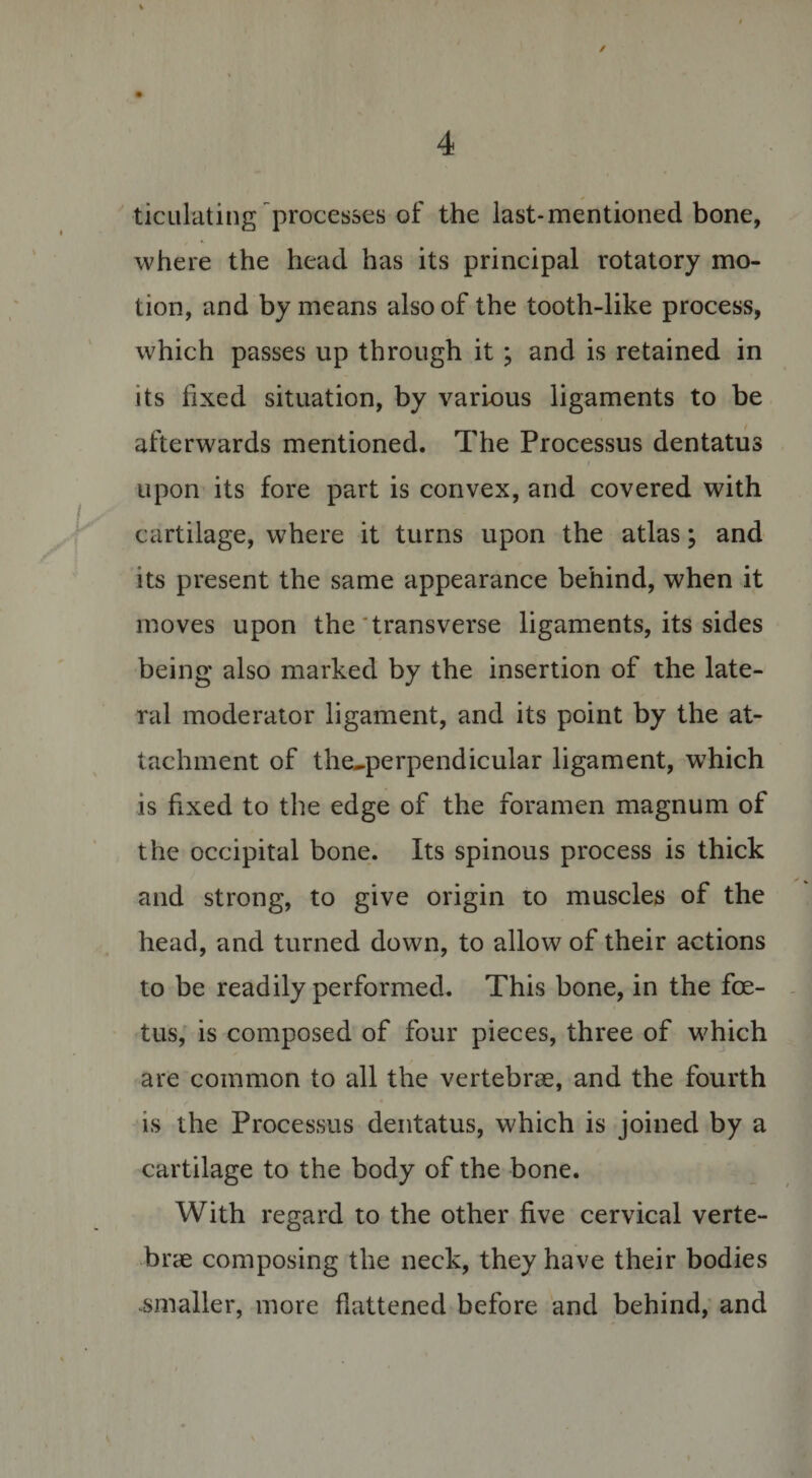 ✓ 4 ticulating processes of the last-mentioned bone, where the head has its principal rotatory mo¬ tion, and by means also of the tooth-like process, which passes up through it ; and is retained in its fixed situation, by various ligaments to be afterwards mentioned. The Processus dentatus i upon its fore part is convex, and covered with cartilage, where it turns upon the atlas; and its present the same appearance behind, when it moves upon the transverse ligaments, its sides being also marked by the insertion of the late¬ ral moderator ligament, and its point by the at¬ tachment of the^perpendicular ligament, which is fixed to the edge of the foramen magnum of the occipital bone. Its spinous process is thick and strong, to give origin to muscles of the head, and turned down, to allow of their actions to be readily performed. This bone, in the foe¬ tus, is composed of four pieces, three of which are common to all the vertebrae, and the fourth is the Processus dentatus, which is joined by a cartilage to the body of the bone. With regard to the other five cervical verte¬ brae composing the neck, they have their bodies smaller, more flattened before and behind, and