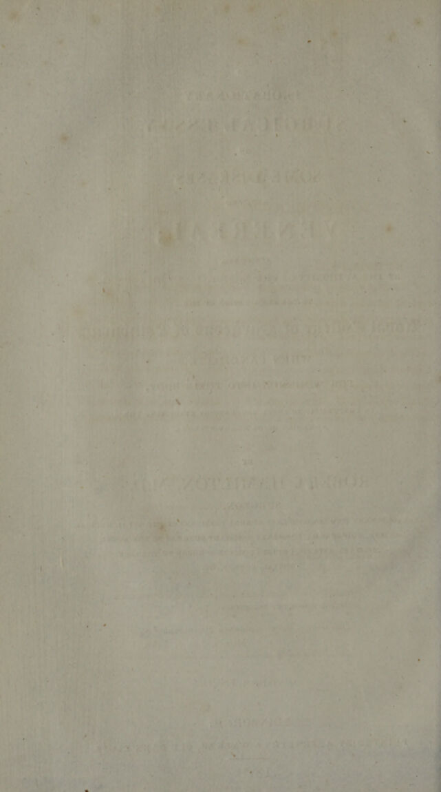 digitised image 2