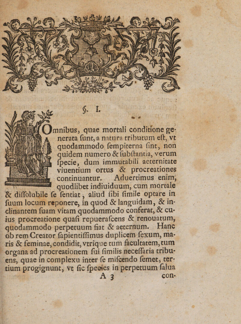 mnibus, quae mortali conditione ge* nerata funt,a natura tributum eft, vt quodammodo fempiterna fint, non quidem numero &amp; fubftantia, verum fpecie, dum immutabili aeternitate viuentium ortus &amp; procreationes continuantur. Aduertimus enim, quodlibet indiuiduum, cum mortale &amp; diflolubile fe fentiat, aliud libi fimile optare in fuum locum reponere, in quod &amp; languidam, &amp; in¬ clinantem fuam vitam quodammodo conferat, &amp; cu¬ ius procreatione quafi repuerafcens &amp; renouatum, quodammodo perpetuum fiat &amp; aeternum. Hanc ob rem Creator {apientiffimus duplicem fexum, ma¬ ris &amp; feminae,condidit, vtrique tum facultatem,tum organa ad procreationem fui fimilis neceflaria tribu¬ ens, quae in complexu inter fe mifcendo {emet, ter¬ tium progignunt, vt fic fpeeies in perpetuum falua A 3 con-