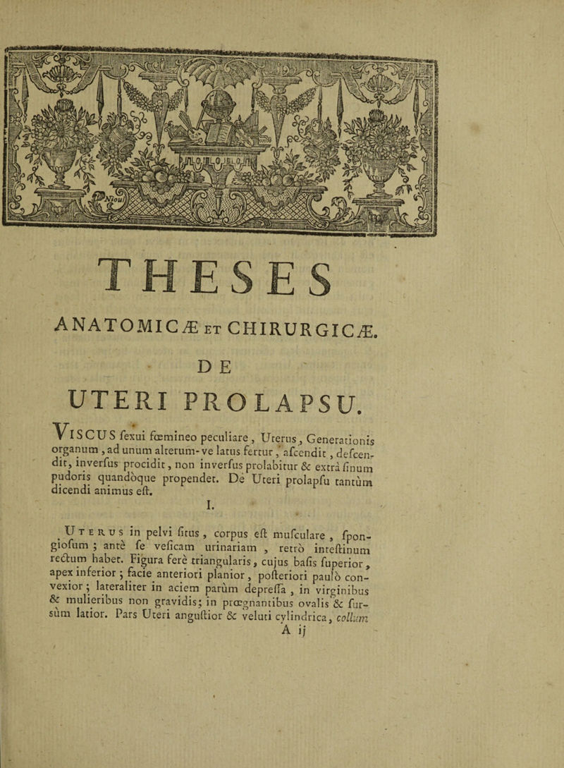 ANATOMICÆet chirurgicæ. DE UTERI PROLAPS U. Vi SCUS fexui fœmineo peculiare , Utérus , Generationis organum ,ad unum alterum-ve latus fertur ,'afcendit, defeen- dit, inverfus procidit, non inverfus prolabitur &amp; extra finurn pudoris quandoque propendet. Dé Uteri prolapfu tantum dicendi animiis eft. I. Utérus in pelvi ficus , corpus efi: mufculare 3 fpon- giofum ; antè fe veficatn urinariam , rétro inteftinum redum haber. Figura ferè triangularis, cujus bafis fuperior * apexinferior * facie anteriori planior, pofteriori pau!o con- vexior j lateraliter in aciem parum deprefTà , in virgimbus fk mulieribus non gravidis; in prœgnantibus ovalis &amp; fur- sum îatior. Pars Uteri anguftior ôc veluti cvlindrica, collum A i j t