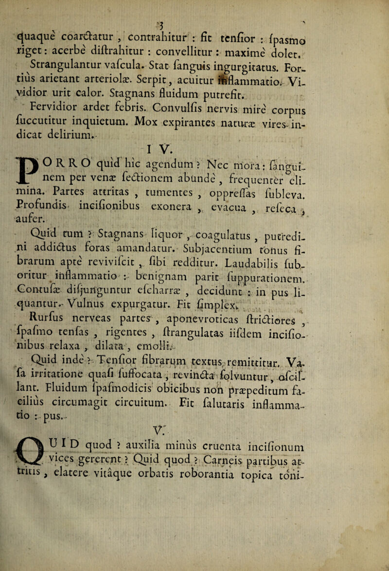 quaque coardatur , contrahitur : fit tenfior : fpasmo riget: acerbe diftrahitur : convellitur: maxime dolet. Strangulantur vafcula. Stat fanguis ingurgitatus. For. tius arietant arteriola:. Serpit, acuitur ififlammatio. Vi¬ vidior urit calor. Stagnans fluidum putrefit. Fervidior ardet febris. Convulfis nervis mire' corpus fuccutitur inquietum. Mox expirantes natura: vires-in¬ dicat delirium.- ; I V. PORRO quid hic agendum ? Nec mora: iangui. nem per venae fedionem abunde', frequenter ^eli¬ mina. Partes attritas , tumentes , oppreflas fubleva. Profundis incifionibus exonera , evacua , releca aufer. _ Quid tum ? Stagnans liquor , coagulatus , putredi¬ ni addictus foras amandatur. Subjacentium tonus fi¬ brarum apte revivifcit fibi redditur. Laudabilis fub- oritur inflammatio • benignam parit fuppurationem. Gontufie dejunguntur efcharra: , decidunt : in pus li¬ quantur.- Vulnus expurgatur. Fit fimplexv Rurfus nerveas partes , aponevroticas Aridiores fpafmo tenfas , rigentes , ftrangulatas iifdem incifio¬ nibus relaxa , dilata , emoli:. Quid inde' ? Tenfior fibrarqm textus remittitur. Va- fa irritatione quafi fuffocata, revinda folvuntur, afclf- lant. Fluidum fpafmodicis obicibus non prtepeditum fa¬ cilius circumagit circuitum. Eit falutaris inflamma¬ tio r-pus.- v; 0 X3 I D quod ? auxilia minus cruenta incifionum vices gererent fQuid quod ? Carneis partibus at¬ tritis , elatere vitaque orbatis roborantia topica toni-