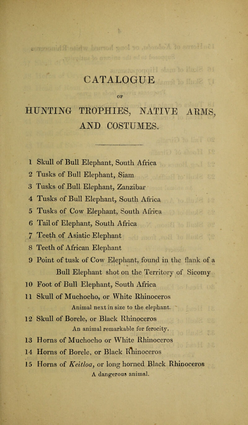 OF HUNTING TROPHIES, NATIVE ARMS, AND COSTUMES. 1 Skull of Bull Elephant, South Africa 2 Tusks of Bull Elephant, Siam 3 Tusks of Bull Elephant, Zanzibar 4 Tusks of Bull Elephant, South Africa 5 Tusks of Cow Elephant, South Africa 6 Tail of Elephant, South Africa 7 Teeth of Asiatic Elephant 8 Teeth of African Elephant 9 Point of tusk of Cow Elephant, found in the flank of a Bull Elephant shot on the Territory of Sicomy 10 Foot of Bull Elephant, South Africa 11 Skull of Muchocho, or White Rhinoceros Animal next in size to the elephant. 12 Skull of Borele, or Black Rhinoceros An animal remarkable for ferocity. 13 Horns of Muchocho or White Rhinoceros 14 Horns of Borele, or Black Rliinoceros 15 Horns of Keitloa, or long horned Black Rhinoceros A dangerous animal.
