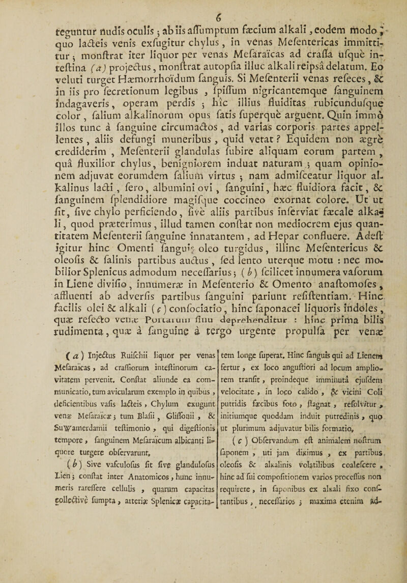teguntur nudis oculis 5 ab Iis aflumptum facium alkali, eodem modo ; quo la&amp;eis venis exfugitur chylus, in venas Mefentericas immitti¬ tur * monftrat iter liquor per venas Mefaraicas ad craffa ufque in- teftina (a) projectus, monftrat autopfia illuc alkali reipsadelatum. Eo veluti turget Hxmorrhoidum fanguis. Si Mefenterii venas refeces, in iis pro fecretionum legibus 3 fpiffum nigricantemque fanguinem Indagaveris, operam perdis ; hic illius fluiditas rubicundufque color , falium alkalinorum opus fatis fuperque arguent. Quin immo illos tunc a fanguine circumadtos , ad varias corporis partes appel¬ lentes , aliis defungi muneribus, quid vetat ? Equidem non £egre crediderim , Mefenterii glandulas fubire aliquam eorum partem y qua fluxilior chylus, benigniorem induat naturam ; quam opinio¬ nem adjuvat eorumdem falium virtus $ nam admifceatur liquor al- kalinus ladi , fero, albumini ovi , fanguini, ht^c fluidiora facit, &amp;c fanguinem fplendidiore magifque coccineo exornat colore. Ut ut Iit, five chylo perficiendo, flve aliis partibus inferviat focale alka«» li, quod praeterimus , illud tamen conflat non mediocrem ejus quan¬ titatem Melenterii fanguine 'innatantem , ad Hepar confluere. Adefl: igitur hinc Omenti fanguis oleo turgidus, illinc Mefentericus &amp;c oleofls &amp; falinis partibus auctus , fed lento uterque motu : nec mo¬ bilior Splenicus admodum neceflariusj (b) fcilicet innumera vaforum in Liene divifio, innumera: in Mefenterio &amp; Omento anaftomofes y affluenti ab adverfis partibus fanguini pariunt refiftentiam. Hinc facilis olei &amp; alkali (c) confociatio, hinc faponacei liquoris indoles , qua refedo vena Puruium fuiu deprehenditur : hinc prima bilis rudimenta, qua a fanguine a tergo urgente propulfa per vena ( a) Xnje&amp;us Ruifchii liquor per venas Mefaraicas &gt; ad craffiorum inteflinorum ca¬ vitatem pervenit. Conflat aliunde ea com¬ municatio, tum avicularum exemplo in quibus, deficientibus vafis ladleis &gt; Chylum exugunt venas Mefaraicat 3 tum Blafii , Gliffonii , &amp; SuWamerdamii teflimonio &gt; qui digeflionis tempore &gt; fanguinem Mefaraicum albicanti li^ que re turgere obfervarunt, ( b) Sive vafculofus fit flve glandulofus Lien 5 conflat inter Anatomicos &gt; hunc innu¬ meris rareffere cellulis , quarum capacitas eolleffive fumpta, arteriae Splenie* capacita¬ tem longe fuperat. Hinc fanguis qui ad Lienen* fertur , ex loco angufliori ad lpcum amplio¬ rem tranfit, proindeque immihuta ejufdem velocitate , in loco calido , 3c vicini Coli putridis fascibus foto , flagnat , refolvitur , iniriumque quoddam induit putredinis , quo ut plurimum adjuvatur bilis formatio» { c ) Obfervandum eft animalem nofrrum faponem , uti jam diximus , ex partibus oleofls &amp; alxalinis volatilibus coalefcere , hinc ad fui compofitionem varios procefliis non requirere , in faponibus ex akali fixo conf. tantibus, neceffarios 3 maxima etenim ad- . i