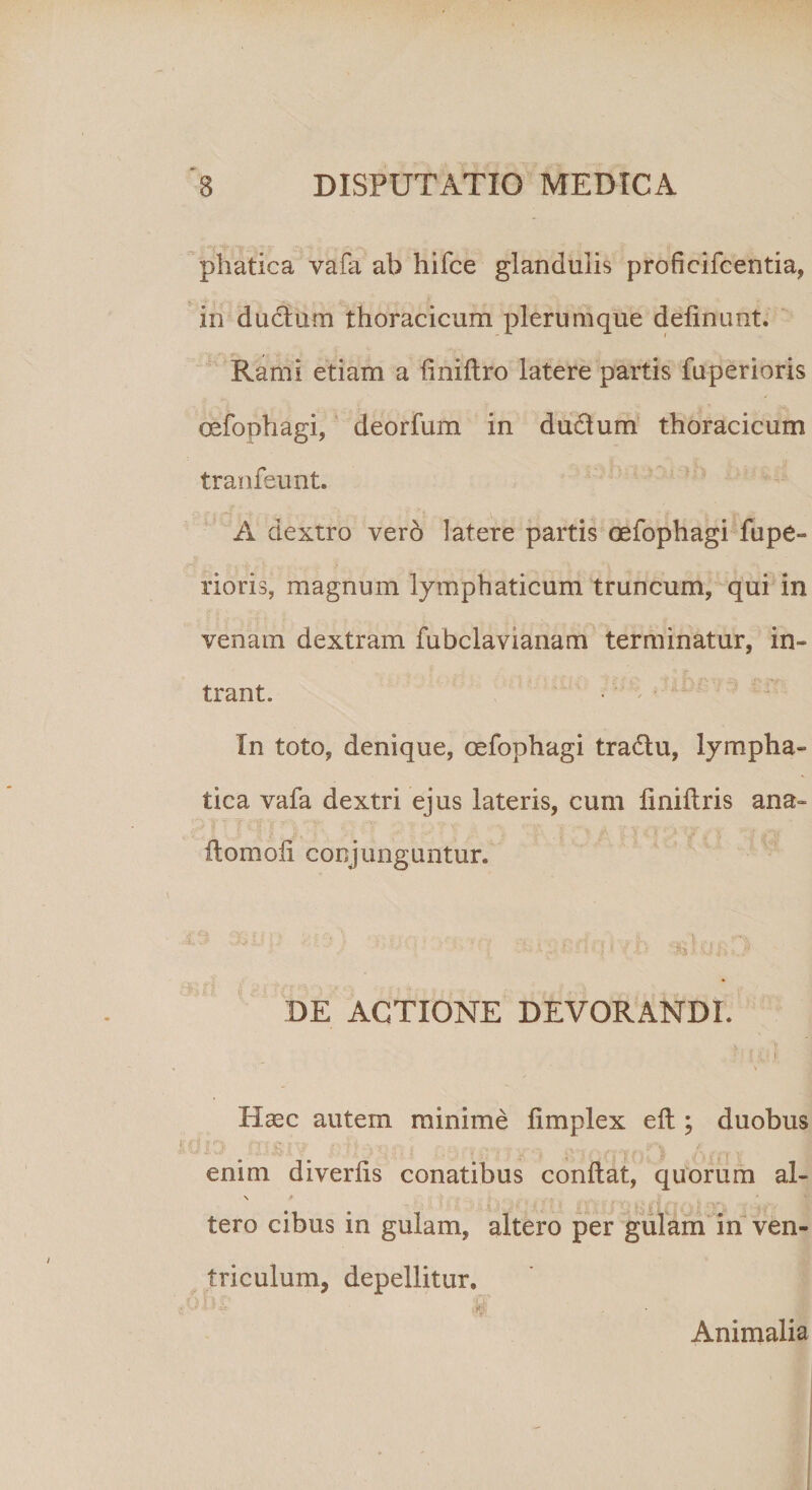 phatica vafa ab hifce glandulis proficifcentia, in ductum thoracicum plerumque delinunt. Rami etiam a liniltro latere partis fuperioris oefophagi, deorfum in ductum thoracicum tranfeunt. A dextro vero latere partis oefophagi fupe¬ rioris, magnum lymphaticum truncum, qui in venam dextram fubclavianam terminatur, in¬ trant. In toto, denique, oefophagi tra£lu, lympha¬ tica vafa dextri ejus lateris, cum liniltris ana- ilomoli conjunguntur. :i■ ; i i- ■ &gt; i- %\u^3 - ‘ DE ACTIONE DEVORANDI. Hsec autem minime limplex ell; duobus JfH fr* :h • y A l •• - «rv / ** ■ &gt;■ • ' ; ; ; .. V -Y i /*V J i •. ‘‘ | • enim diverlis conatibus conftat, quorum al- N tero cibus in gulam, altero per gulam in ven¬ triculum, depellitur, «olu , Animalia