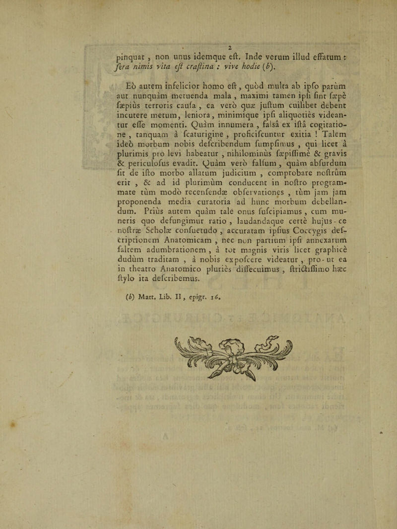 pinquat , non unus idemque eft. Inde verum illud effatum; fera nitnis vita eji craflina : vive hodie (£). Eo autem infelicior homo eft, quod multa ab ipfo parum aut nunquam metuenda mala , maximi tamen ipfi fint fcepe faepius terroris caufa , ea vero quae juftum cuilibet debent incutere metum, leniora, minimique ipfi aliquoties videan¬ tur effe momenti. Quam innumera , falsa ex ifta cogitatio¬ ne , tanquam a fcaturigine , prcficifcuntur exitia ! Talem ideo morbum nobis deferibendum fumpfimus , qui licet a plurimis pro levi habeatur , nihilominus fcepiftime &amp; gravis fk periculofus evadit. Quam vero falfum , quam abfurdum fit de ifto morbo allatum judicium , comprobare noftrum erit , &amp; ad id plurimum conducent in noftro program¬ mate tum modo recenfendas obfervationes , tum jam jam proponenda media curatoria ad hunc morbum debellan¬ dum. Prius autem quam tale onus fufeipiamus , cum mu¬ neris quo defungimur ratio, laudandaque certe hujus-ce noftras Scholae confuetudo , accuratam ipfius Coccygis def- criptionem Anatomicam , nec non partium ipfi annexarum faltem adumbrationem , a tot magnis viris licet graphice cludum traditam , a nobis expofeere videatur, pro-ut ea in theatro Anatomico pluries dilfecuimus , ftribhflimo hscc ftylo ita deferibemus. (b) Mart. Lib. II, epigr. 16» X x