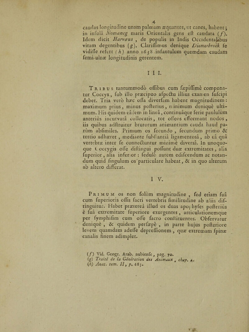 caudas longitudine unam palmam aequantes, ut canes, habent; in infula Nomaneg maris Orientalis gens eft caudata (f). Idem dicit Harvceus 5 de populis in Indis Occidentajibus vitam degentibus (g). Clari di mus denique Ditmtrbrotk fe vidilie refert (h) anno 1638 infantulum quemdam caudam femi* ulnae longitudinis gerentem. I I I. Tribus tantummodo oflibus cum fa:piflime compona¬ tur Coccyx, fub illo praecipuo alpedtu illius examen fufcipi debet. Tria vero haec ofTa diverfam habent magnitudinem: maximum prius, minus pofterius, minimum denique ulti¬ mum. His quidem eadem in linea, continuaque ferie paululum anterius incurvata cullocatis, tot offeos efformant nodos, iis quibus adftruitur brutorum animantium cauda haud pa¬ rum abfimiles. Primum os fecundo , fecundum primo tertio adhaeret , mediante fuhfiantia ligamentosa, ab ea qua vertebra: inter fe connedhintur minime diversa. In unoquo¬ que t occygis olle diflingui poliunt duae extremitates , alia fuperior , alia inferior : ledulo aurem edifeendum ac notan¬ dum quid fingulum os particulare habeat, & in quo alterum ab altero differat. I V. Primum os non folum magnitudine , fed etiam fua cum fuperioris ollis facri vertebris fimilitudine ab aliis dif- tinguitur. Habet praeterea illud os duas apo^ hyfes pofterius e fua extremitate fuperiore exurgentes , articulationemque per fymphifim cum olle facro conltituentes. Obfervatur denique , & quidem perfaepe , in parte hujus pofteriore levem quamdam adede depreffionem , qua: extremam fpinae canalis finem adimplet. (/) Yid. Geogr. Arab. nubienfe, pag. 70. (g) Traite de la Generat ion des Animaux chap, 4» (h) Anat. tom. 11} p, 685. /