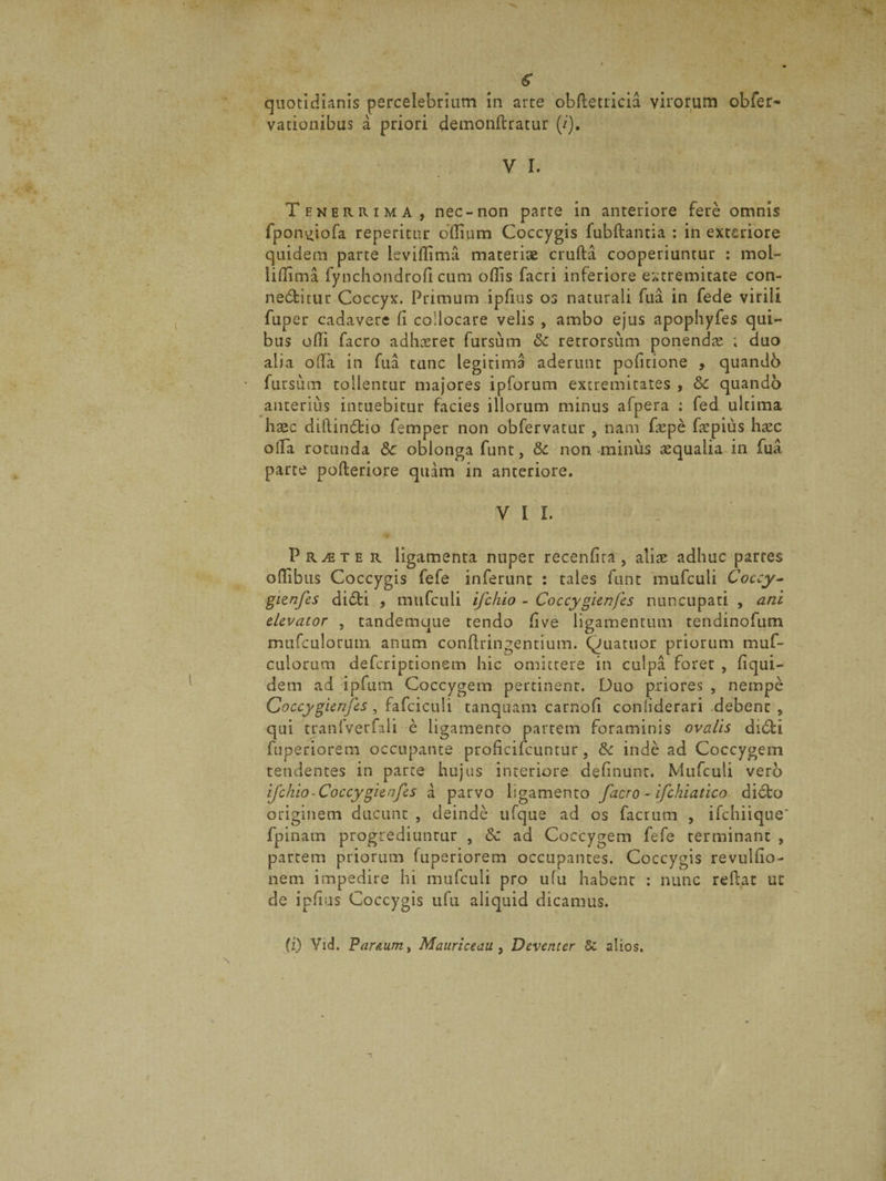 quotidianis percelebrium in arte obftetricia virorum obfer- vationibus a priori demonftratur (/). y i. Tenerrima, nec-non parte in anteriore fere omnis fponvfiofa repericur odium Coccygis fubdantia : in exteriore quidem parte levidima materiae cruda cooperiuntur : mol- lidima fynchondrofi cum odis facri inferiore extremitate con- nedtitur Coccyx. Primum ipfius os naturali fua in fede virili fuper cadavere Ci collocare velis , ambo ejus apophyfes qui¬ bus odi facro adhoeret fursum & retrorsum ponenda ; duo alia oda in fua tunc legitima aderunt pofuione , quando fursum tollentur majores ipforum extremitates , oC quandb anterius intuebitur facies illorum minus afpera : fed ultima haec didindtio femper non obfervatur , nam depe depius haec oifa rotunda &c oblonga funt, Sc non minus aequalia in fua parte poderiore quam in anteriore. VII. Proete r ligamenta nuper recenfita , aliae adhuc parres odibus Coccygis fefe inferunt : tales funt mufculi Coccy- gienfcs didti , mufculi ifchio - Coccy gienfes nuncupati , ani elevator , tandemque tendo dve ligamentum tendinofum mufculorum anum condringentium. Quatuor priorum muf- cuiorurn deferiptionem hic omittere in culpa foret , dqui- dem ad ipfum Coccygem pertinent. Duo priores , nempe Coccygienfes , fafciculi tanquam carnofi conliderari debent , qui tranfverfali e ligamento partem foraminis ovalis didti fuperiorem occupante prodeifeuntur, & inde ad Coccygem tendentes in parce hujus interiore definunt. Mufculi vero ifchio-Coccygienfes a parvo ligamento facro - ifchiatico dicto originem ducunt , deinde ufque ad os facrum , ifchiique' fpinatn progrediunrur , & ad Coccygem fefe terminant , partem priorum fuperiorem occupantes. Coccygis revuliio- nem impedire hi mufculi pro ufu habent : nunc redat ut de ipfius Coccygis ufu aliquid dicamus. (i) Vid. Par&um, Mauriceau , Deventer & alios.