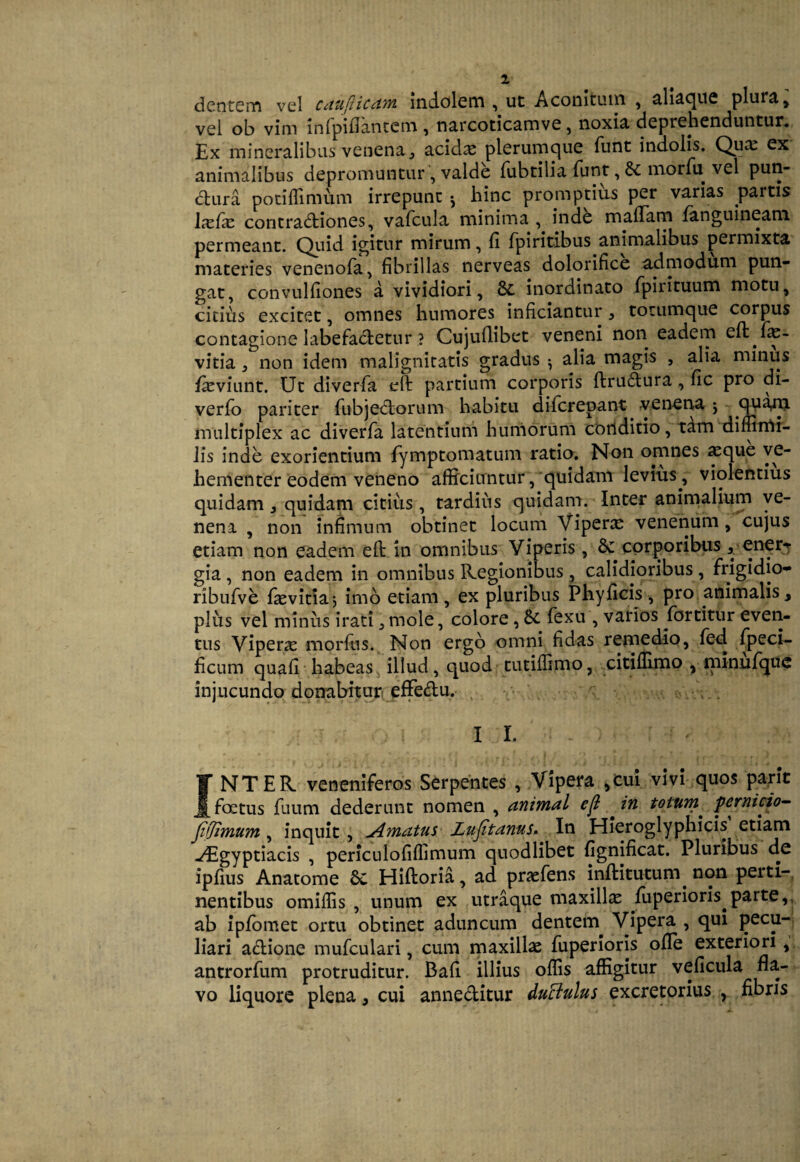 dentem vel caujlicam indolem , ut Aconitum , ahaque plura , vel ob vim infpiflantem , narcoticamve, noxia deprehenduntur. Ex mineralibus venena, acidx plerumque funt indolis. Qua; ex animalibus depromuntur , valde fubtilia funt, morfu vel pun¬ ctura poti {limum irrepunt * hinc promptius per varias partis Ixfx contradiones, vafcula minima , inde mafiam {anguineam permeant. Quid igitur mirum, fi fpiritibus animalibus permixta materies venenofa, fibrillas nerveas dolorifice admodum pun¬ gat, convulfiones a vividiori, 8t inordinato fpirituum motu, citius excitet, omnes humores inficiantur , totumque corpus contagione labefactetur ? Cujuflibet veneni non eadem eft fie- vitia, non idem malignitatis gradus •, alia magis , alia minus fieviunt. Ut diverfa eft partium corporis ftrudura, fic pro di- verfo pariter fubjedorum habitu difcrepant venena j quam multiplex ac diverfa latentium humorum conditio, tam diffirrti- lis inde exorientium fymptomatum ratio. Non omnes aeque ve¬ hementer eodem veneno afficiuntur, quidam levius, violentius quidam 3 quidam citius, tardius quidam. Inter animalium ve¬ nena , non infimum obtinet locum Viperae venenum, cujus etiam non eadem efi: in omnibus Viperis, & corporibus * ener^ gia , non eadem in omnibus Regionibus , calidioribus , frigidio- ribufve faevitiaj imo etiam, ex pluribus Phyficis, pro animalis, plus vel minus irati, mole, colore , &c fexu , varios fbrtitur even¬ tus Viperx morfiis. Non ergo omni fidas remedio, fed fpeci- ficum quafi habeas illud, quod tutiffimo, citiffimo , minufque injucundo donabitur effedu. I l INTER veneniferos Serpentes , Vipera ,Cui vivi quos parit foetus fuum dederunt nomen , animal cjl in totum * pernicio- f(Jimum , inquit , Amatus Zujitanus. In Hieroglyphicis etiam ^Egyptiacis , periculofiffimum quodlibet fignificat. Pluribus de ipfius Anatome 6c Hiftoria, ad prxfens inftitutum. non perti¬ nentibus omiffis , unum ex utraque maxillae fuperioris^parte,, ab ipfomet ortu obtinet aduncum dentem Vipera , qui pecu¬ liari adione mufculari, cum maxillae fuperioris ofle exteriori, antrorfum protruditur. Bafi illius offis affigitur veficula fla¬ vo liquore plena, cui anneditur duBulus excretorius , fibris