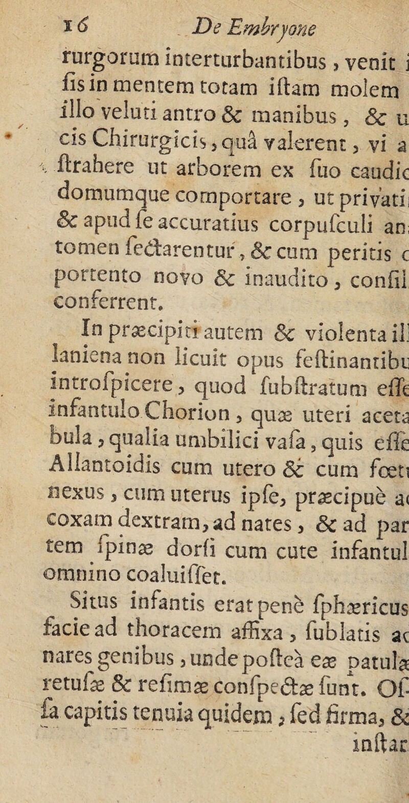 rurgorum interturbantibus,venit j iis in mentem totam iftam molem illo veluti antro Sc manibus, Sc u cis Chirurgicis >qu£ valerent, vi a \ flrahere ut arborem ex fuo caudic domumque comportare , ut privatii Sc apud fe accuratius corpufculi an; tomen fedarentur , Sc cum peritis c portento novo & inaudito , confil conferrent. In praecipiti autem Sc violenta ili laniena non licuit opus feilinantibc introfpicerequod fabftratum eiTe infantulo Chorion , quae uteri aceta bula ? qualia umbilici vaia, quis effe Allantoidis cum utero St cum foeti nexus 5 cum uterus ipfe, praecipue a< coxam dextram, ad nates, Sc ad par tem /pinas dorfi cum cute infantul omnino coaluiffet. Situs infantis erat pene fphaericus facie ad thoracem affixa , fublatis ac nares genibus j unde poftca eae patula retuiae Sc refimae confpedtae funt. Of ia capitis tenuia quidem, fed firma, Sc inftar