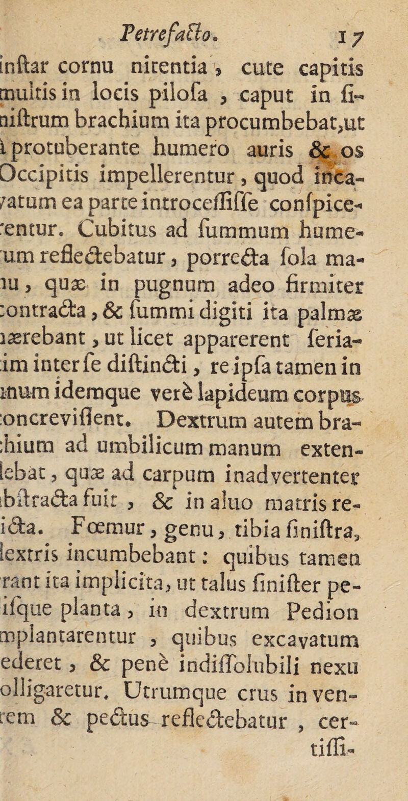 PetrefaBo. i y inftar cornu nitentia , cute capitis multis in locis pilofa , caput in fi- niftrum brachium ita procumbebat,ut i protuberante humero auris Sc os Occipitis impellerentur, quod inca- /atum ea parte introcefliffe confpice- rentur. Cubitus ad fummum hume- um refledebatur, porreda fola ma- iu , quas in pugnum adeo firmiter :ontrada, & fummi digiti ita palmas arebant, ut licet apparerent feria- im inter fediftindi, reipfatamenin inum ideraque verk lapideum corpus :oncreviflent. Dextrum autem bra- :hiura ad umbilicum manum exten- [ebat j quas ad carpum inadvertenter ibdradafuir , Sc in alno matris re- ida.^ Fcemur, genu, tibia flniftra, iextris incumbebant: quibus tamen rant ita implicita, ut talus finifter pe- ifque planta , in dextrum Pedion mplantarentur , quibus excavatum ederet, Sc pene indifTolubili nexu olligaretur. Utrumque crus inven- iem Sc pedus refledebatur , cer¬ ti fli-
