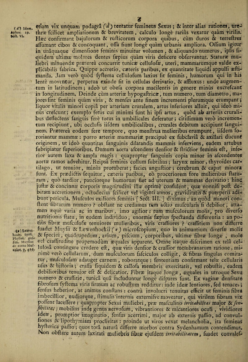 U) i<icm. vix unquam podagra (J) tentatur femineus Sexus; & inter alias rationes, ure- Aphor. 19. thras fcilicet ampliationem & brevitatem, calculo longe rarius vexatur qaam virilis. llxc confirmant bajulorum & rufticorum corpora quibus, cum duros dc terreftres afTumant cibos & concoquant, ofla fiunt longe quam urbanis ampliora. Ollium igitur in unaquaque dimenfione feminis minuitur volumen , & aliquando numerus, iplis fi- quidem ultimas molares dentes faepius quam viris deficere oofervantur. Staturae mu¬ liebri minuendae praeterea concurrit tunicae cellulofae, uteri, mammarumque valde ex¬ plicabilis fabrica. Quippe accretio, caeteris paribus, ex quantitate liquidi appulfi aefti- manda. Jam vero quod fyfiema cellulofum laxius fit feminis , humorum qui in his lente moventur, perpetua exinde fit in cellulas derivatio, & affluxus: unde augmen¬ tum in latitudinem; adeo ut obefa corpora macilentis in genere minus excrefeant in longitudinem. Deinde ciim arteris hypogaftricar, tum numero, tum diametro, ma¬ jores fint feminis quam viris , & menfes ante finem incrementi plerumque erumpant; liquor vitalis minori copia per arteriam cruralem, artus inferiores alluit, qui ideo mi¬ nus crelcunt; exemplo fetiis cui minimi funt hi ipfi artus, quod ab arteriis crurali¬ bus defiedtens fanguis fere totus in umbilicales deferatur; citifiimum vero incremen¬ tum recipiunt, ubi occlufis iifdem umbilicalibus, crurales debitum accipiunt fangui- nem. Praeterea eodem fere tempore, quo menftrua mulieribus erumpunt, iifdem fo- roriantur mammae; porro arteriae mammariae praecipue ex fubclavia & axillari ducunf originem, ut ideo quantitas fanguinis dilatandis mammis inferviens, eadem artubus fubripiatur fuperioribus. Demum aorta afeendens denfior & ftridior feminis eft, infe¬ rior autem laxa & ampla magis ; quapropter fanguinis copia minor in afeendentes aortx ramos advehitur. Reipsa feminis collum fubtilius; larynx minor, thyroides car¬ tilago , ut tenuior, minus protuberat; facies anguftior; cerebrum & caput minora funt. Ex praedidis fequitur, caeteris parjbus, eb proceriorem fore mulieribus flatu¬ ram , quo tardior, pauciorque humorum fiet ad uterum & mammas derivatio: hinc, juftae & concinnx corporis magnitudini illae optime confulenr, quae nonnifi pofl de¬ bitam accretionem , ododecim fcilicet vel viginti annos, graviditatis & puerperii adi¬ bunt pericula. Mufculos exiliores feminis [ Sed. III. ] diximus: an quod minori con¬ flent fibrarum numero ? obflaiit ne credamus tum adio mufcularis fi debilior, atta¬ men asque varia ac in maribus, imo agilior; tum mufculorum molis^ pro diverfo nutritionis flatu, in eodem individuo, enormis faepius fpedanda differentia: an po¬ tius fibrae mufiulofae tenuiores mulieribus, viris crafiiores ? craflitiem non differre <«Ueweo- fuadet Muyfii & LeNTenhoekii microfeopium, quo in animantium diverfas molis ^ > quadrupedum, avium» pifeium, corporibus, ultimas fibrx longas , mole fm. Muyfius vel craffitudine propemodiim aequales apparent. Omne itaque diferimen ex tela cel- lulosa, contingere credere eft, quas viris denfior & eraftior membranarum ratione , mi¬ nime verb cellularum, dum mufculorum fafciculos colligit, & fibras lingulas comita¬ tur , mufculofam adauget carnem , roboratque : fententiam confirmant telas cellularis iifus & hiftoria; craffa fiquidem & callofa membris exercitatis, ve.l robuftis, eadem debilioribus tenuior eft & delicatior. Fibrae itaque longae, aquales in utroque Sexit numero & crafiitie, tunica qua includuntur longe difpares funt. Ex vaginae denfitate fibrofum fyftema viris firmum ac robufjum redditur: inde ideae lentiores, fed tenaces; fenfus hebetior, at animus conflans: contra involucri tenuitas efficit ut feminis fibra imbecillior, nudiorque, ftimulis'internis externifvemoveatur, qui virilem fibram vix poffent laceflere ; quap^*opter Sexui muliebri, prae mafculino irritabilitas major & fen* ; mobilius inde genus inervofum, vibrantiores & micantiores oculi , vividiores ideae, promptior imaginatio, fenfus acerrimi, major ab externis paffio, ad convul- fiones & lipothymiam proclivitas : proinde ut viros vexat melancholia, ita feminas hyfterica paflio; quos tota natura differre morbos contra Sydenhamum contendimus. Non obftare autem laxitati muliebris fibrae cjufdem irritabilitatem ^ fuadet convalef*