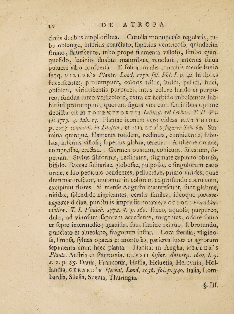 \ / ciniis duabus amplioribus. Corolla monopetala regularis, tu¬ bo oblongo, inferius coarftato, fuperius ventricofo, quindecim ftriato, flauefcente, tubo prope filamenta villo lo, limbo quin* quefido, laciniis duabus maioribus, reuolmis, interius fulua puluere albo confperia. E foliorum alis concaliis menfe Innio feqq. m i l l e r’ s Planis. Lond. ij$o.fol. V6L L p. 41 hi flores flaccefcentes, prorumpunt, coloris triftis, luridi, pallidi, fulci, obfbleti, vtriddcentis purpurei, intus colore lurido et purpu¬ reo, fundus luteo verficolore, extra ex herbido rubefcentes fub- hiriuti prorumpunt, quorum figura vna cum feminibus optime dcpifla eft in t o u &:%e fortii Injlitut. rei herbar. T. II. Pa¬ ris ijzp, 4. tab«. 13. Plantae iconem vero videas m a tthiol, jo. 10*13. comment. in Diofcor. et m ille r’ s figurer Tab. 62. Sta¬ mina quinque, filamenta totidem, reclinata, conniuentia, fabu¬ lata, inferius villofa, fuperius glabra, teretia, Antherae ouatae, compreflae, erectae. Germen ouatum, conicum, filicatum, fu- perimi. Stylus filiformis, reclinatus, ftigmate capitato obtufo, bifido. Baccae folitariae, globoiae, pulpofae, e fingtilorum cano ortae, e luo pediculo pendentes, pellucidae, primo virides, quae dum maturefcunt, mutantur in colorem ex profundo coeruleum, excipiunt flores.. Si menfe Augufto maturefcunt, funt glabrae, nitidae, fplendide nigricantes, cerafis fi miles, ideoque peLavo- usgoLfov dictae, punctulis impreffis notatae, scop.oli Flora Car- niolica, T L Vindob» iyya. 8, p. 160. fiicco, aquofo, purpureo, dulci, ad vinofum faporem accedente, turgentes, odore fatuo et fepto intermedio; grauidae funt femine exiguo, fubrotundo, punctato et alueolato, fragorum inftar. Loca iter ilia, vligino» ia, limofa, fyluas opacas et montofas, parietes iuxta et agrorum fepimenta amat haec planta. Habitat in Anglia, miller’s Planis. Aufida et Pannonia, clvsii Inflor. Animrp. 1601. /. €. 2. p. 85. Dania, Franconia, Haffia, Heluetia, Hercynia, Hol- landia, gerard’ s Herbat Lond, 1636. foLp.340. Italia, Lom- bafdia, Silefia, Sueuia, Thuringia* §. riL