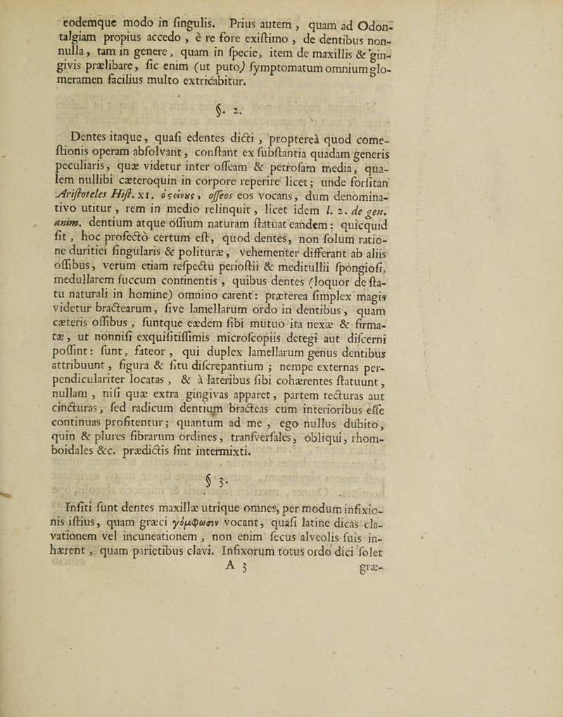 eodemque modo in lingulis. Prius autem , quam ad Odon- talgiam propius accedo , e re fore exiftirno , de dentibus non- nulJa, tam in genere, quam in Ipecie, item de maxillis &amp; gin¬ givis piaelibare, fic enim (ut puto) fymptomatum omnium glo¬ meramen facilius multo extricabitur. §. 2. Dentes itaque, quafi edentes didi , propterea quod come- fhoms operam abfolvant, conflant ex fubflantia quadam generis peculiaris, quas videtur inter oiTeam &amp; petrofam media, qua¬ lem nullibi caeteroquin in corpore reperire licet; unde forlitan Arijhoteles Hift.xi. oseivxf, ojjeos eos vocans, dum denomina- tivo utitur , rem in medio relinquit, licet idem /. 2. de gen. antm. dentium atque offium naturam fiatuat eandem : quicquid lit, hoc profedo certum eft, quod dentes, non folum ratio¬ ne duritiei lingularis &amp; polituras, vehementer differant ab aliis olfibus, verum etiam refpedu perioftii &amp; meditullii fpongiofi, medullarem fuccum continentis , quibus dentes (loquor de fia- tu naturali in homine) omnino carent: praeterea limplex magis videtur bradearum, live lamellarum ordo in dentibus, quam caeteris olfibus , funtque eaedem libi mutuo ita nexae &amp; firma¬ tae , ut nonnifi exquilitillimis microfcopiis detegi aut difcerni polfint: funt, fateor, qui duplex lamellarum genus dentibus attribuunt, figura &amp; litu difcrepantium ; nempe externas per- pendiculariter locatas, &amp; a lateribus libi cohaerentes ftatuunt, nullam , nili quas extra gingivas apparet, partem teduras aut cinduras, fed radicum dentium bradeas cum interioribus eCe continuas profitentur; quantum ad me , ego nullus dubito, quin &amp; plures fibrarum ordines, tranfverfales, obliqui, rhom¬ boidales &amp;c. prasdidis iint intermixti. § 5- Infiti funt dentes maxillae utrique omnes, per modum infixio- nis iftius, quam graeci yopQunv vocant, quafi latine dicas cla- vationem vel incuneationem , non enim fecus alveolis fuis in¬ haerent , quam pirietibus clavi. Infixorum totus ordo dici folet