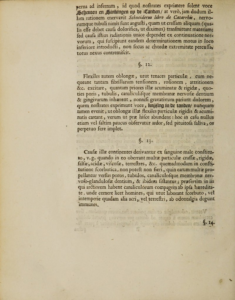 perna ad infernam , id quod noftratcs exprimere folent voce ^cfjeuten cn ^in&amp;ingen op de (€anden/ at vero, jam dudum il¬ lam rationem enervavit Schneiderm libro de Catarrhis, nervo- riimque tubuli nimis funt angufti, quam ut craflam aliquam (qua¬ lis efle debet caufa dolorifica, ut diximus) tranlmittant materiam; fed caufa iftius radiationis unice dependet ex continuatione ner¬ vorum , qui fufeipiunt eandem determinationem motus in loco inferiore introdudi, non fecus ac chordae extremitate percuflfa, totus nexus contremifcit. ^ - i - ‘ ■ f Jfr» i > _ J Flexiles autem oblongae, utut tenaces particulae , cum ne¬ queant tantam fibrillarum tenfionem, rofionem , attritionem &amp;c. excitare, quantam priores illae acuminatae &amp; rigidae, quo¬ ties poris, tubulis, canaliculifque membranae nervofae dentium &amp; gingivarum inhaerent , nonnifi gravativum pariunt dolorem, quem noftrates exprimunt voce, fnujftng ni de tanden/ nunquam tamen evenit, ut oblongae illae flexiles particulae rigidis Cacumi¬ natis careant, verum ut prae hifce abundent: hoc in cafu nullus etiam vel faltim paucus obfervatur ardor,fed pituitofa faliva, os perpetuo fere implet.. §• 15* Caufae illae continentes derivantur ex fanguine male conftitu- to, v. g. quando in eo oberrant multae particulae craffae, rigidae, falfae, acidae, viicofae, terreftres, &amp;c. quemadmodum in confti- tutione fcorbutica, non potefi: non fieri, quin earum multae pro¬ pellantur verius poros, tubulos, canaliculofque membranae ner- volb-glandulofae dentium, &amp; ibidem liftantur; prafertim iniis qui ardiorem habent canaliculorum compagem ab ipfa haeredita- te, unde cernere licet homines, qui utut laborant fcorbuto, vel intemperie quadam alia acri ,, vel terreftri, ab odontalgia degunt im munes*