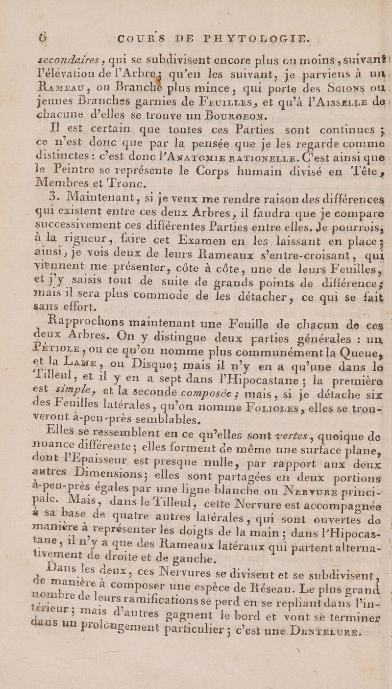 secondaires, qui se subdivisent encore plus ou moins , suivant l’élévaliou de l’Arbrej qu'en les suivant, je parviens à im Hameau j ou Branche plus mince 3 qui porte des Sgions ou jeunes Branches garnies de Feuilles, et qu’à I’Aissjslle de chacune d’elles se trouve un Bourôeon. îî est certain que toutes ces Parties sont continues j ce 11 est donc que par la pensée que je les regarde comme distinctes : c’est donc PA^atomie rationelle. C’est ainsi que le Peintre se représente le Corps humain divisé en Tête ^ Membres et Tronc. d. Maintenant , si je veux me rendre raison des différences qui existent entre ces deux Arbres, il faudra que je compare successivement ces différentes Parties entre elles. Je pourrois, a la rigueur ? faire cet Examen en les laissant en places ainsi, je vois aeux de leurs Hameaux s’entre-croisant, qui viennent me présenter, cote à côte, une de leurs Feuilles, et j y saisis tout de suite de grands points de différence; mais il sera pais commode de les détacher, ce qui se fait sans effort. -^appj ochons maintenant une Feuille de chacun de ces <^eux Arbres. On y distingue deux parties générales : un. 1 étiolé , ou ce qu’on nomme plus communément la Queue, et a jame, ou Disque: mais il n’y en a qu’une dans 1© 1 eo * d J eîl a sept dans l'Iiipocastane , la première est snmp e f et la seconde composée ; mais, si je détache six eS ein cs latérales, qu’on nomme Folioles, elles se trou¬ veront a-peu-près semblables. üules se ressemblent en ce qu’elles sont 'vertes, quoique de iiuance aiflérente 5 elles forment de même une surface plane, \ °”I: ypaisseur est presque nulle, par rapport aux deux «tu res imensioîisj elles sont partagées en deux portions * ^6Ü l\èS Ggales Par une lJgîle blanche ou Nerture princi- ?a e*,1 aîSJ> dans -filleul, cette Nervure est accompagnée U Sa.,as® Tlaîre autres latérales, qui sont ouvertes de maniéré a représenter les doigts de la main ; dans PHipocas- ane, i n y a que des Hameaux latéraux qui partent alterna¬ tivement de droite et de gauche. dp k»?118'’68 ces Nervures se divisent et se subdivisent» :JTria COmp°.Spr UOe espèce de fuseau. Le plus grand té ri pn r • ^ .îîr^ 1 amidca^ons Se perd en se repliant dans l’in- d a n s ml “T f aUtieS gagnent le bord et vont se terminer p±o exigeaient particulier, c'est une Dentelure. \