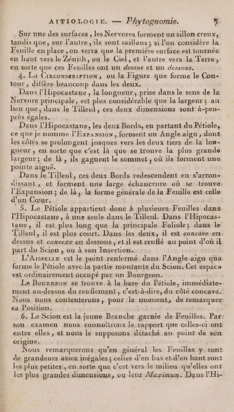 Sur une des surfaces , les Nervures forment un sillon creux, tandis que, sur l’autre , ils sont saillans, si l’on considère la Feuille en place , on verra que la première surface est tournée en liant vers le Zénith , ou le Ciel, et l’autre vers la Terre, en sorte que ces Feuilles ont un dessus et un dessous. 4* La Circonscription , ou la Figure que forme le Con¬ tour, diffère beaucoup dans les deux. Dans l’Hipocastane , la longueur, prise dans le sens de la Nervure principale, est plus considérable que la largeur 5 au lieu que, dans le Tilleul, ces deux dimensions sont à-peu- près égales. Dans l’Hipocastane, les deux Bords, en partant du Pétiole, ce que je nomme I’Expansion , forment un Angle aigu , dont les cotés se prolongent jusques vers les deux tiers de la lon~< gueur , en sorte que c'est là que se trouve la plus grande largeur 5 de là , ils gagnent le sommet, où ils forment une pointe aigue. Dans le Tilleul, ces deux Bords redescendent en s’arron¬ dissant , et forment une large échancrure où se trouve 1 Expansion 5 de là , la forme générale de la Feuille est celle d’un Cœur. 5. Le Pétiole appartient donc à plusieurs Feuilles dans l’Hipocastane, à une seule dans le Tilleul. Dans l’Hipocas¬ tane , il est plus long que, la principale Foliole 5 dans le Tilleul, il est plus court. Dans les deux, il est concave en dessus et convexe en dessous , et il est renflé au point d’où il part du Scion , ou à son Insertion. L’Aisselle est le point renfermé dans l’Angle aigu que forme le Pétiole avec la partie montante du Scion. Cet espace est ordinairement occupé par un Bourgeon. Le Bourgeon se trouve à la base du Pétiole, immédiate¬ ment au-dessus du renflement, c’est-à-dire, du côté concave. Nous nous contenterons, pour le moment, de remarquer sa Position. ; 6. Le Scion est la jeune Branche garnie de Feuilles. Par son examen nous connoîtrons le rapport que celles-ci ont entre elles, et nous le supposons détaché au point de son origine. Nous remarquerons qu’en général les Feuilles y sont de grandeurs assez inégales 3 celles d’en bas et d’en haut son! les plus petites , en sorte que c’est vers le milieu qu’elles ont les plus grandes dimensions, 011 leur Maximum. Dans l’Hir