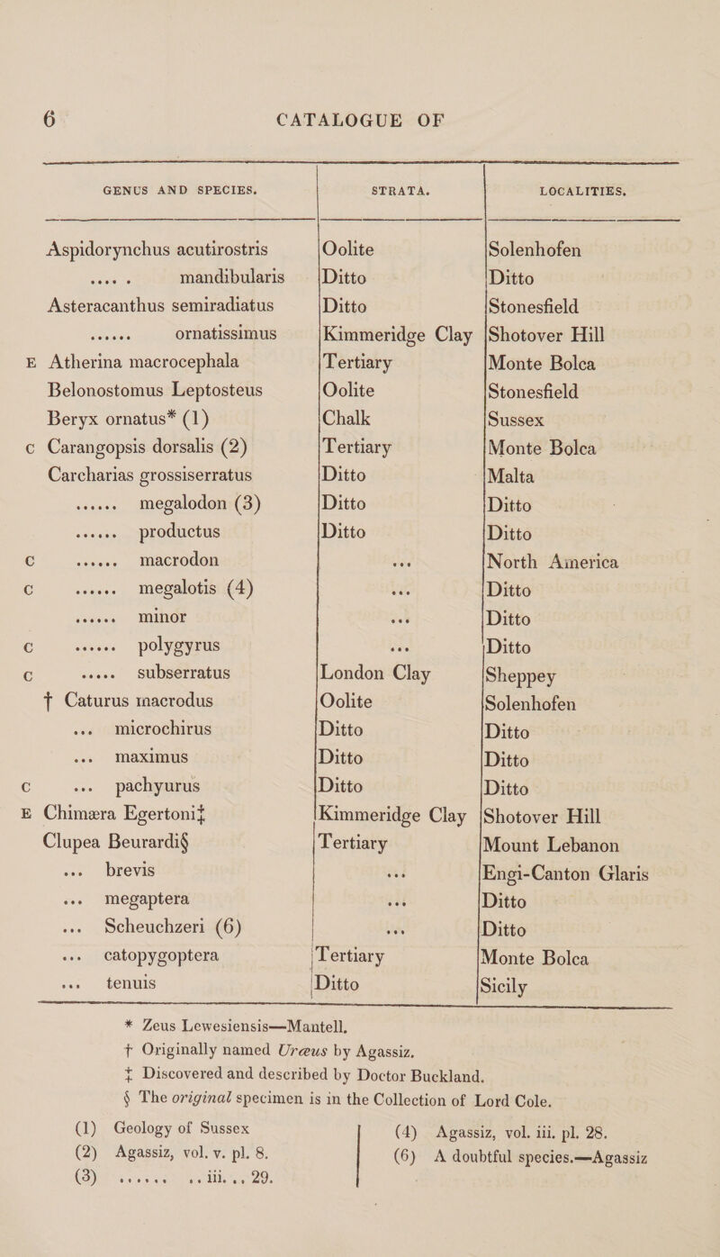 GENUS AND SPECIES. STRATA. LOCALITIES. Aspidorynchus acutirostris Oolite Solenhofen . mandibularis Ditto Ditto Asteracanthus semiradiatus Ditto Stonesfield . ornatissimus Kimmeridge Clay Shotover Hill E Atherina macrocephala Tertiary Monte Bolca Belonostomus Leptosteus Oolite Stonesfield Beryx ornatus* (1) Chalk Sussex c Carangopsis dorsalis (2) Tertiary Monte Bolca Carcharias grossiserratus Ditto Malta . megalodon (3) Ditto Ditto . productus Ditto Ditto c . macrodon t • t North America c .. megalotis (4) • » i Ditto . minor • M Ditto c . polygyrus 4 • • Ditto c . subserratus London Clay Sheppey f Caturus macrodus Oolite Solenhofen ... microchirus Ditto Ditto ... maximus Ditto Ditto c ... pachyurus Ditto Ditto E Chimaera Egertoni^ Kimmeridge Clay Shotover Hill Clupea Beurardi§ Tertiary Mount Lebanon ... brevis « » » Engi-Canton Glaris ... megaptera 4 4 4 Ditto ... Scheuchzeri (6) 4 4 4 Ditto ... catopygoptera Tertiary Monte Bolca ... tenuis Ditto Sicily * Zeus Lewesiensis—Mantell. f Originally named Urceus by Agassiz. X Discovered and described by Doctor Buckland. § The original specimen is in the Collection of Lord Cole. (1) (2) (3) Geology of Sussex Agassiz, vol. v. pi. 8. »«•«<« m. 29. (4) Agassiz, vol. iii. pi. 28. (6) A doubtful species.—Agassiz 0 •