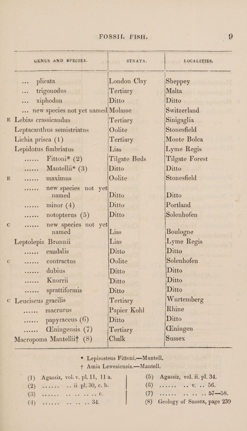 genus and species. STRATA. LOCALITIES. ... plicata London Clay Sheppey ... trigonodus Tertiary Malta ... xiphodon Ditto Ditto ... new species not yet named Molasse Switzerland E Lebias crassicaudus Tertiary Sinigaglia Leptacanthus semistriatns Oolite Stonesfield Lichia prisea (1) Tertiary Monte Bolca Lepidotus fimbriatus Lias Lyme Regis . Fittoni* (2) Tilgate Beds Tilgate Forest . Mantellii* (3) Ditto Ditto E . maximus Oolite Stonesfield ...... new species not yet named Ditto Ditto . minor (4) Ditto Portland ...... notopterus (5) Ditto Solenhofen c . new species not yet named Lias Boulogne Leptolepis Bronnii Lias Lyme Regis . caudal is Ditto Ditto c . contractus Oolite Solenhofen . dubius Ditto Ditto . Knorrii Ditto Ditto . sprattiformis Ditto Ditto c Leuciscus gracilis Tertiary Wurtemberg ...... macrurus Papier Kohl Rhine . papyraceus (6) Ditto Ditto . CEningensis (7) Tertiary CEningen Macropoma Mantelliij- (8) Chalk Sussex * Lepisosteus Fittoni.—Mantell. f Amia Lewesiensis.—Mantell. (1) Agassiz, vol. v. pi. 11, 11 a. (2) .ii pi. 30, c. b. (3) ..c. {4^ ...... .» •* .. 34. (5) Agassiz, vol. ii. pi. 34. (6) .v, .. 56. (7) ...... .. .. . • 57—58. (8) Geology of Sussex, page 239 « »