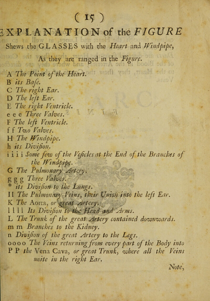 XPLANATION of the FIGURE t t “v ¥ r T » V; j OTVrj ? ; > • >  ry \%y ■' ^ • 'p ■ *- ‘1 * ' ^ •. ' ^ Shews the GLASSES wich the Heart and Windpipe, As they are ranged in the Figure. svj 4* r-' v . y; A The Point of the Heart. B /Ar JSafe. • C The right Ear. D The left Ear. E The right Ventricle. O . . T **’’ *’ •'!*■ r-. • e e e Three Valves. F The left Ventricle. - f f Thto Valves. H. The Windpipe. * ‘ h <Ar Divifon. - i i i i Some few of the Vefcles at the End of the Branches of the Windpipe. • • • A ) G The Pulmonary Artery. g g g Three Valves. -r' ' - * /Ar Divifon to the Lungs. II The Pulmonary- Veins, their Union into the left Ear. K The Aorta, or' 'Wr '-'77 A _ _ is 1111 Its Divifon to 1$te Head cmd'Hr ms. L The Trunk of the great Artery contained downwards. m m Branches to the Kidney. n Divifon of the great Artery to the Legs. oooo The Veins returning from every part of the Body into P P the Vena Cava, or great Trunk, where all the Veins unite in the right Ear. Note,
