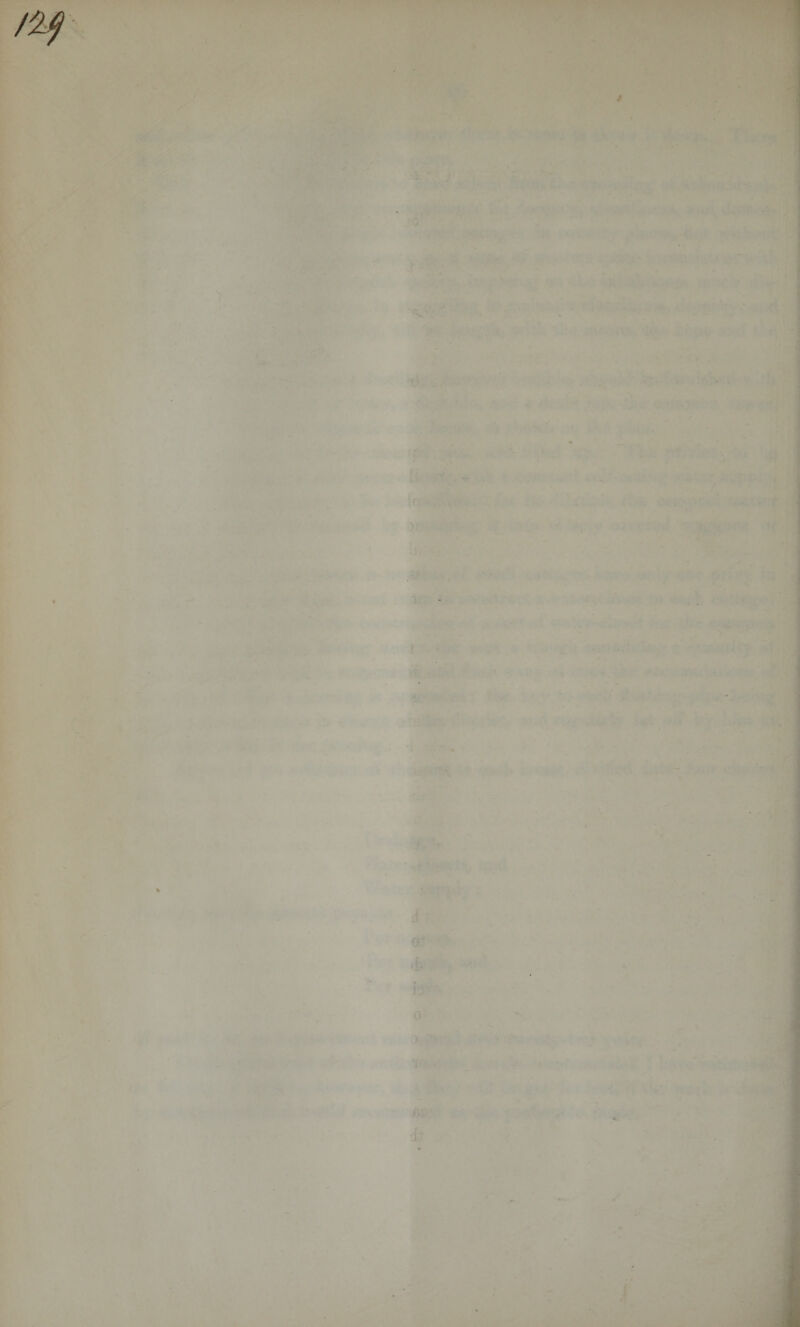 \ • ; f ■ > ♦ - ' b ' * - '