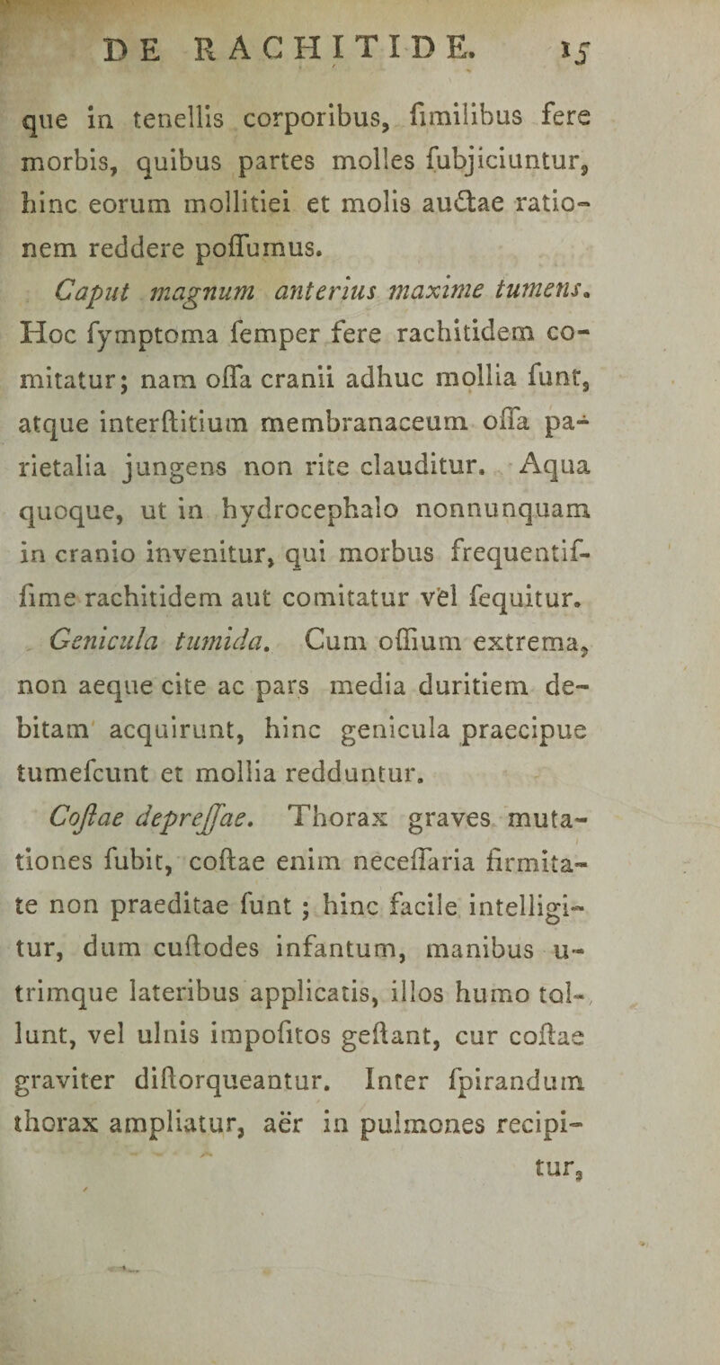 que ia tenellis corporibus, fimilibus fere morbis, quibus partes molles fubjiciuntur, bine eorum mollitiei et molis autftae ratio¬ nem reddere poffurnus. Caput magnum anterius maxime tumens9 Hoc fymptoma femper fere rachitidem co¬ mitatur; nam offa cranii adhuc mollia funt, atque interftitium membranaceum offa pa¬ rietalia jungens non rite clauditur. Aqua quoque, ut in hydrocephaio nonnunquam in cranio invenitur, qui morbus frequentif- fime rachitidem aut comitatur v£l fequitur. Genicula tumida. Cum offium extrema, non aeque cite ac pars media duritiem de¬ bitam acquirunt, hinc genicula praecipue tumefeunt et mollia redduntur. Cojlae deprejfae. Thorax graves muta- 1 tiones fubit, coftae enim neceffaria firmita¬ te non praeditae funt ; hinc facile intelligi- tur, dum cuftodes infantum, manibus u- trimque lateribus applicatis, illos humo tol¬ lunt, vel ulnis impofitos geftant, cur coftae graviter diftorqueantur. Inter fpirandutn thorax ampliatur, aer in pulmones recipi- tur,