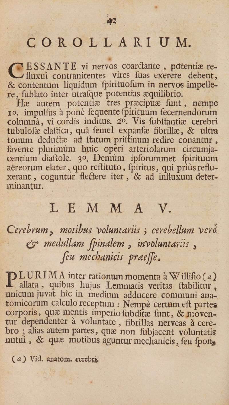 #2 COROLLARI UM. CpESSANTE vi nervos coardante , potentiae re- -vfluxui contranitentes vires fuas exerere debent, &amp; contentum liquidum fpirituofum in nervos impelle¬ re, fublato inter utrafque potentias aequilibrio. Hae autem potentiae tres praecipuae funt, nempe io. impulfus a pone fequente fpirituum fecernendorum columna, vi cordis inditus. 2°. Vis fubftantiae cerebri tubulofae elaftica, qua femel expanfae fibrillae, &amp; ultra tonum dedudae ad flatum priftinum redire conantur , favente plurimum huic operi arteriolarum circumja¬ centium diaftole. 30, Demum ipforummet fpirituum aereorum elater, quo reftituto, fpiritus, qui prius reflu¬ xerant , coguntur fledere iter, &amp; ad influxum deter¬ minantur. LEMMA V. Cerebrum, motibus voluntariis ; cerebellum vero &amp; medullam Jbinalem , involuntariis , feu mechanicis praejje* PLURIMA inter rationum momenta a Willifio (a} allata, quibus hujus Lemmatis veritas llabilitur, unicum juvat hic in medium adducere communi ana¬ tomicorum calculo receptum .• Nempe certum eft partes corporis, quae mentis imperio fubditae funt, &amp; moven¬ tur dependenter a voluntate , fibrillas nerveas a cere¬ bro ; ahas autem partes, quae non fubjacent voluntatis nutui, &amp; quae motibus aguntur mechanicis, feu fponj C<0 Vid. anatom. cerebri