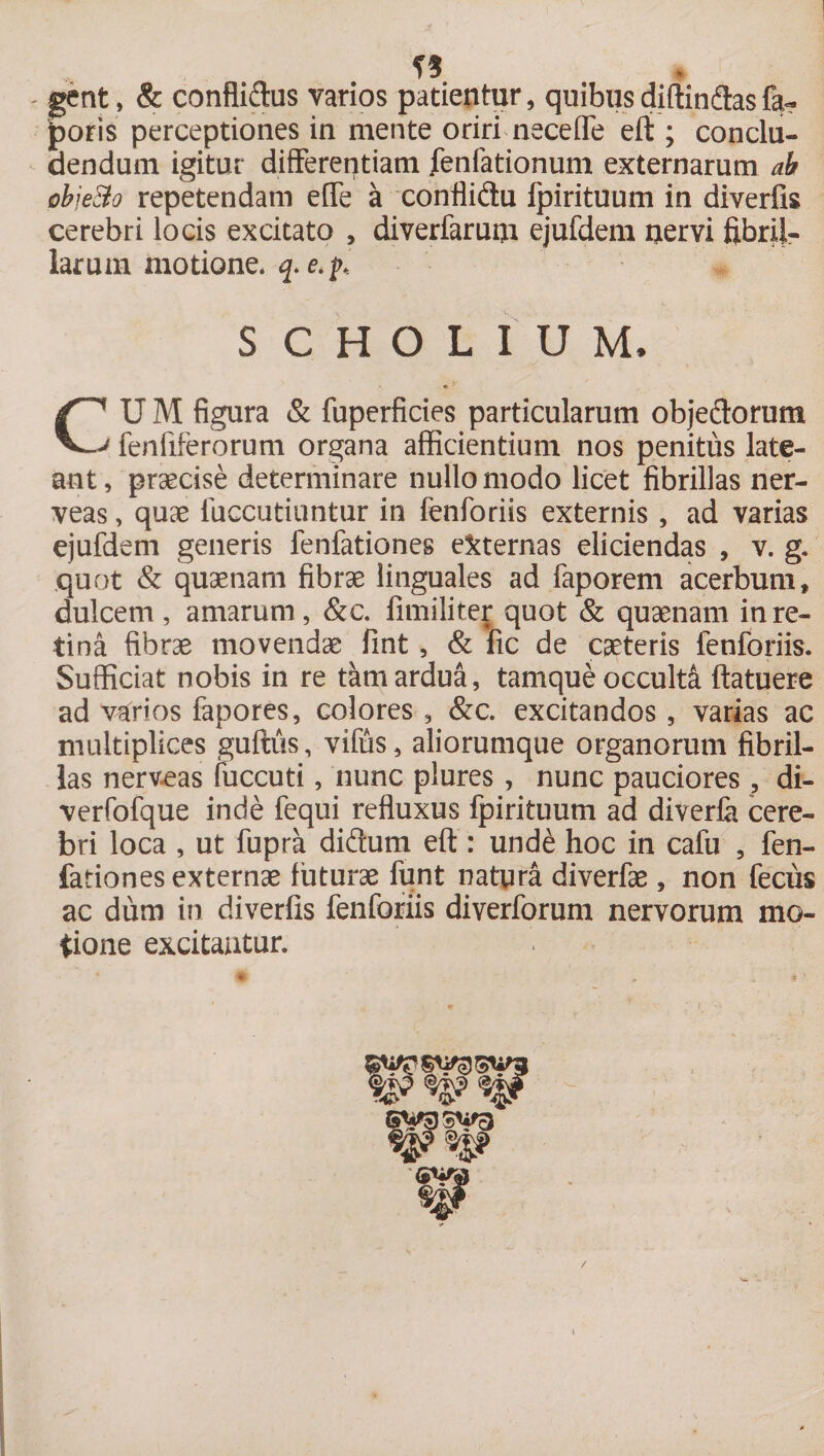 - gent, &amp; conflidus varios patientur, quibusdiffindasfa- poris perceptiones in mente oriri nece fle eft ; conclu¬ dendum igitur differentiam fenfationum externarum ab obje&amp;o repetendam effe a conflidu fpirituum in diverlis cerebri locis excitato , diverfarum ejufdem nervi fibril¬ larum motione* q. e^. SCHOLIUM* C1 U M figura &amp; fuperficies particularum objedorum ' fenfiferorum organa afficientium nos penitus late¬ ant , praecise determinare nullo modo licet fibrillas ner- veas, quae iuccutiuntur in fenforiis externis, ad varias ejufdem generis fenfationes externas eliciendas , v. g. quot &amp; quaenam fibrae linguales ad faporem acerbum, dulcem , amarum, &amp;c. fimiliter quot &amp; quaenam in re¬ tina fibrae movendae fint, &amp; fic de caeteris fenforiis. Sufficiat nobis in re tam ardua, tamque occulta ftatuere ad varios fapores, colores , &amp;c. excitandos, varias ac multiplices guftus, vifus, aliorumque organorum fibril¬ las nerveas fuccuti, nunc plures , nunc pauciores , di- verfofque inde fequi refluxus fpirituum ad diverfa cere¬ bri loca , ut fupra didum eft : und£ hoc in cafu , fen¬ fationes externae futurae funt natura diverfae, non feciis ac dum in diverlis fenforiis diverforum nervorum mo¬ tione excitantur.
