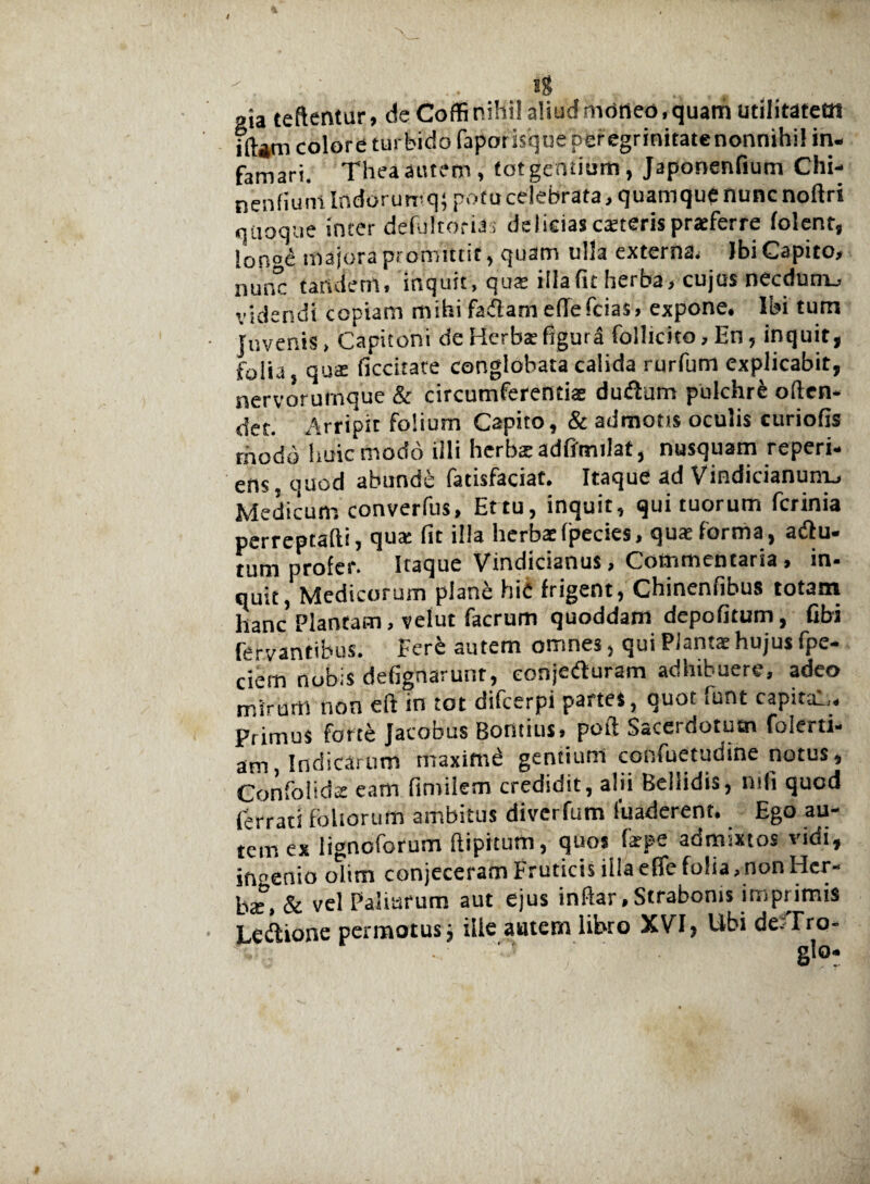 i ' ' • ■ „;a teftentur, de Coflfinihi! aliudmoneo,quam utilitatem i(Um colore turbido fapor isque peregrinitatenonnihil in¬ famari. Thea autem, tot gentium, Japonenfium Chi- n en fiunt Indorumq; potu celebrata, quamque nunc noftri quoque inter defultoria ; delicias exteris praeferre folenr, |ono£ majora promittit, quam ulla externa* Ibi Capito, nunc taridem, inquit, quae illafic herba, cujus necdunxj videndi copiam mihi fa&am effefeias, expone. Ibi tum Juvenis, Capitoni de Herbae figurd folltcito. En, inquit, folia, quae decitate conglobata calida rurfum explicabit, nervorumque & circumferentiae dudum pulchri often- det. Arripit folium Capito, & admotis oculis curiofis rhodd huic modo illi herba: adfimilat, nusquam reperi- ens, quod abunde fatisfaciat. Itaque ad Vindicianunij Medicum converfus, Ettu, inquit, qui tuorum ferinia perreptafli, qua: fit illa herbae fpecies, quae forma , aftu- tum profer. Itaque Vindicianus, Commentaria, in¬ quit, Medicorum plane hii frigent, Chinenfibus totam hanc Plantam, velut facrum quoddam depofitum, Gbi fervantibus. Fere autem omnes, qui Plantae hujus fpe- ciem nobis defignarunr, eonjedturam adhibuere, adeo mirum non eft in tot difeerpi partes, quot !unt capital,, primus forte Jacobus Bontius, poti Sacerdotum foleru- am, Indicarum maximi gentium confuetudine notus, Confoiidx eam finiilem credidit, alii Bellidis, mfi quod ferrati foliorum ambitus diverfum fuaderent. Ego au¬ tem ex ligncforum flipitum, quos fipe aomsxtos vidi, ingenio olim conjeceram Fruticis illa efle folia, non Her- bae1, & vel Paliurum aut ejus inftar,Strabonis imprimis Ledlione permotus ■, ille autem libro XVI, Ubi defTro- glo-