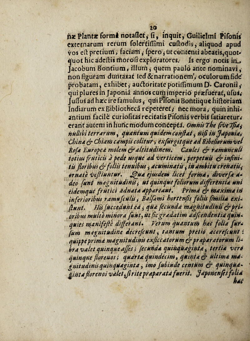 'is , / f nac Plantae formi notaflct,* fi, inquit, Guilielmi Pifonis externarum rerum folerfiffimi cuftodis, aliquod apud vos e ii pretium, faciam ,* fpero, ut contenti abeatis,quot¬ quot hic adeftis morofi exploratores/ Is ergo notis iiL, Jacobum Bontium,illum, quem paulo ante nominavi, non figuram duntaxat ied&nafrationemV oculorum fide4 probatam, exhibet ,*au&6ritatepotiffimumD. Caronii; quipluresin Japonid annoscuriiimperio prxfuerat, iifus* JufifuS ad hxc ire famulus, qdi PlfoniS Bontiique hiftbriarti indiarunri ex Bibliotheca repeteret; nec mora, quin inhi¬ antium facili curiofitas recitatis Piforiis verbis fatiaretur* erant autem in hunc modum concepta. Omnis The fiveTfidj nullibi terrarum, quantum quidem conftal j ni fi ihffdponias China & Chiam campis colitur y exfuirgitque ad Pib e Ciorum vel Rofa Europcd molem & altitudinem. Caules & ramuncull totius fruticis a pede usque ad verticem i perpetuis & infini¬ tis floribus & foliis tenuibus i deumtnaiis, in ambitu cr enatis^ ornaie vefliuhtur. ^ud ejusdem licet forma, diverfa d» deo funi magnitudinis , ut quinque foliorum differentia uni eidemque frutici ad nat a Appareant. Prima & maxima iri inferioribus ramufcUlisi Balfltmi hortlnfts foliis [milia exi- fluni. His fucceduht ea; qUd fecunda mdghiiudinis &prU Oribus multo minora fuht, ut ficgradaim a dfieii dentia quin¬ quies manifefte differant. Verum quantum hac folia fur- fum magnitudine decrefcunt, tantum pretio accrefcunt: quifpipnmd magnitudinis exfic catorum (f frap arat orum li¬ bra valet quinque afies; fecutid* quinqUaginta i tertia vero quinque flor e nos; quarta quindecim, quinta (f Ultima md* gnitudtm quinquaginta, imo fubinde centum & quinqud- pht a flor en os v alet ^fi rite praparata fuerit. ffaponenfisfolia hui