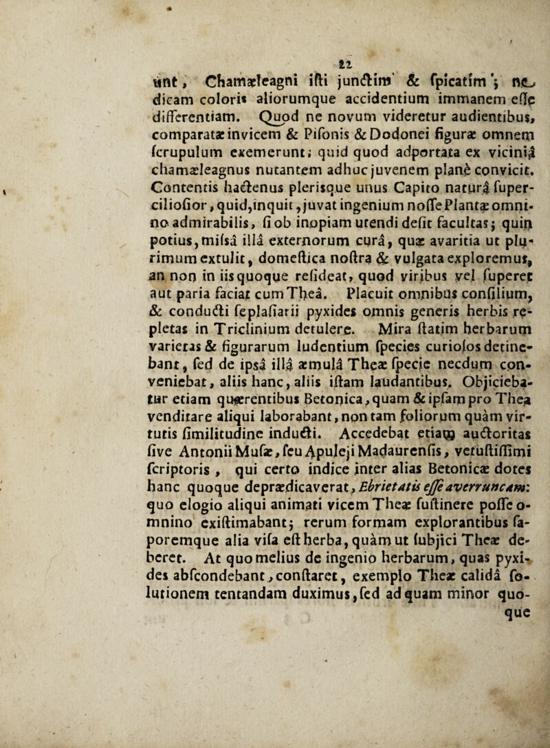 ; li wnt, Chamacleagni ifti jundlirw' & fpicatfm *; n&> dieam colori* aliorumque accidentium immanem efle differentiam. Quod ne novum videretur audientibus, comparatae invicem & Pifonis &Dodonei figurae omnem fcrupulum exemerunt; quid quod adportajta ex vicinijt chamasleagnus nutantem adhuc juvenem plan£ convicit. Contentis hadenus plerisque unus Capito naturi fuper- ciliofior, quid,inquit, juvat ingenium noffePlantasomni¬ no admirabilis, fiob inopiam urendi defit facultas; quin potius, milsa illa externorum cura, qua: avaritia ut plu¬ rimum extulit, domeffica noftr^i & vulgata exploremus, an non in iis quoque rdideat, quod viribus yel fuperec aut paria faciat cumThea. Placuit omnibus confiiium, & condu&i feplafiarii pyxides omnis generis herbis re¬ pletas in Triclinium detulere. Mira ftat.im herbarum varietas& figurarum ludentium fpecies curiolos detine¬ bant, fed de ipsa ill| aemuli The* fpecie necdum con- veniebat, aliis hanc, aliis iftam laudantibus. Objicieba¬ tur etiam quaerentibus Betonica,quam 8c ipfampro Thea venditare aliqui laborabant, non tam foliorum quam vir¬ tutis fimilitudine indufti. Accedebat etiaoj auftoritas five AntoniiMufse,feuApulejiMacjaurenfis, vetuftifiimi feriptoris , qui certo indice inter alias Betonicae dotes hanc quoque depr*dicaverat,££r/V^/tf ejjeaverruncam: quo elogio aliqui animati vicem The* fuftinere poffeo- mnino exiftimabant; rerum formam explorantibus fa- poremque alia vifa eft herba, quam ut (ubjici Thea- de¬ beret. At quo melius de ingenio herbarum, quas pyxi¬ des abfeondebant, conflaret, exemplo The* calida fo- lutionem tentandam duximus,fed ad quam minor quo¬ que