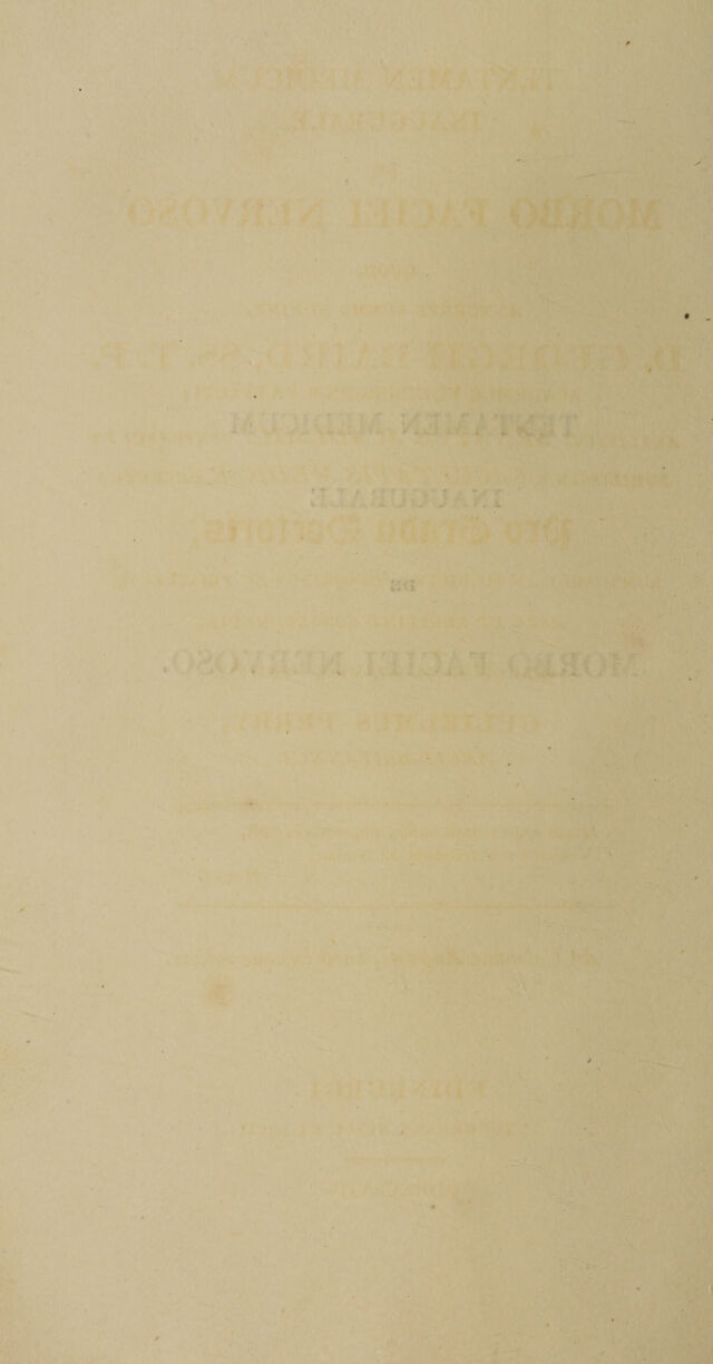 digitised image 2