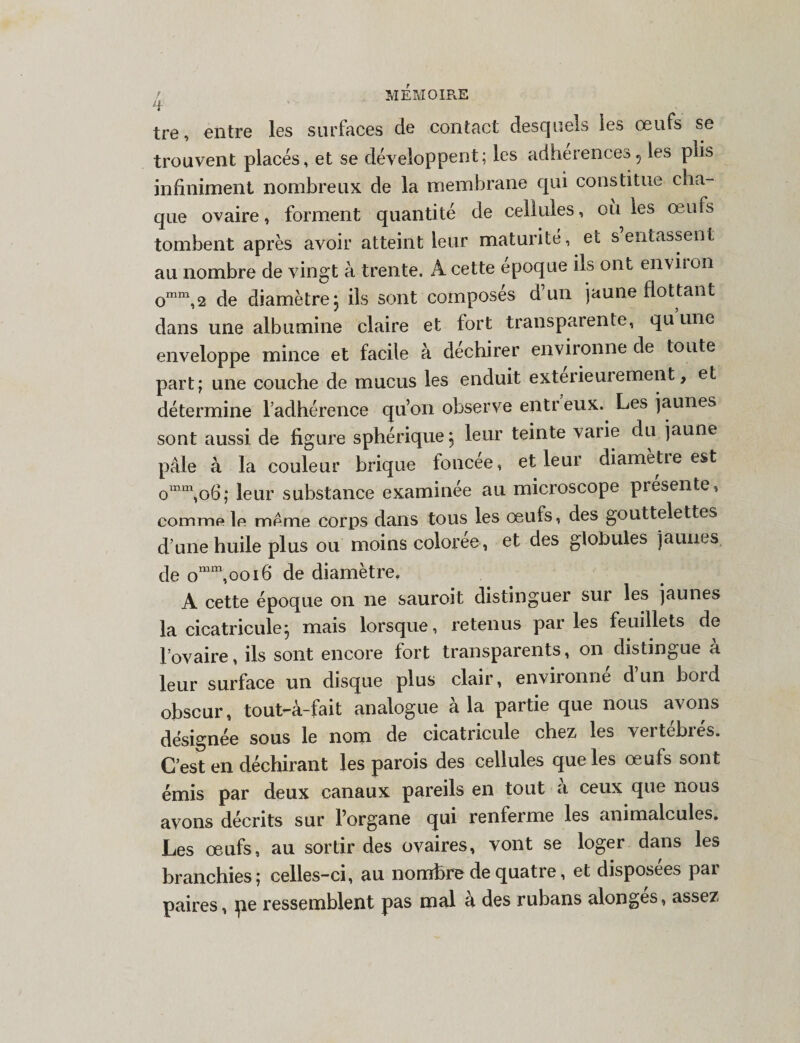 H- tre, entre les surfaces de contact desquels les œufs se trouvent placés, et se développent; les adhérences 5 les plis infiniment nombreux de la membrane qui constitue cha¬ que ovaire, forment quantité de cellules, où les œufs tombent après avoir atteint leur maturité, et s entassent au nombre de vingt à trente. A cette époque ils ont enviion omm,2 de diamètre j ils sont composés d’un jaune flottant dans une albumine claire et fort transparente, quune enveloppe mince et facile à déchirer environne de toute part; une couche de mucus les enduit extérieurement, et détermine l’adhérence qu’on observe entr eux. Les jaunes sont aussi de figure sphérique j leur teinte varie du jaune pâle à la couleur brique foncee, et leur diamètre est omm,o6; leur substance examinée au microscope présente, commp b même corps dans tous les œufs, des gouttelettes d’une huile plus ou moins coloree, et des globules jaunes de omm,ooi6 de diamètre, A cette époque on 11e sauroit distinguer sur les jaunes la cicatricule} mais lorsque, retenus parles feuillets de l’ovaire, ils sont encore fort transparents, on distingue a leur surface un disque plus clair, environné d’un bord obscur, tout-à-fait analogue à la partie que nous avons désignée sous le nom de cicatricule chez les veitebies. C’est en déchirant les parois des cellules que les œufs sont émis par deux canaux pareils en tout a ceux que nous avons décrits sur l’organe qui renferme les animalcules. Les œufs, au sortir des ovaires, vont se loger dans les branchies; celles-ci, au nombre de quatre, et disposées par paires, pe ressemblent pas mal à des rubans alonges, assez