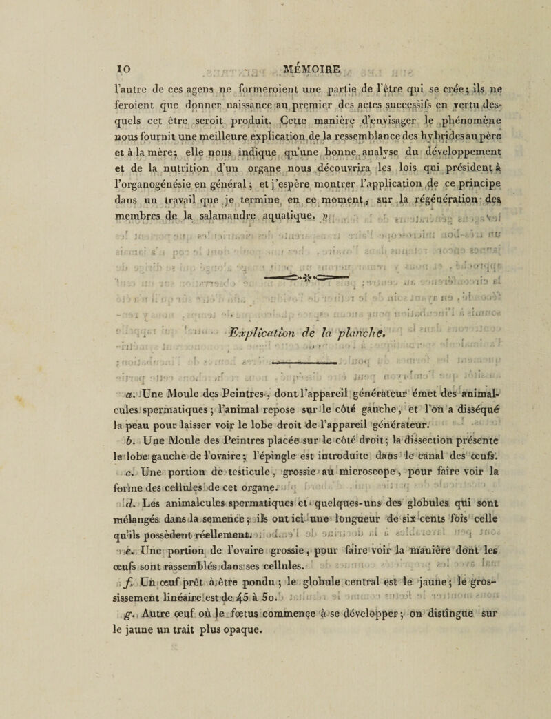 l’autre de ces agens ne formeroient une partie de l'être qui se crée; ils ne feroient que donner naissance au premier des actes successifs en vertu des¬ quels cet être seroit produit. Cette manière d’envisager le phénomène nous fournit une meilleure explication de la ressemblance des hybrides au père et à la mère; elle nous indique qu’une bonne analyse du développement et de la nutrition d’un organe nous découvrira les lois qui président à l’organogénésie en général ; et j’espère montrer l'application de ce principe dans un travail que je termine, en ce moment, sur la régénération -des membres de la salamandre aquatique. )&gt; a it,- u. ■ :tr:: s’ ! po : o. Jnoh .1 : u o.'ir. •'i . ! II!f ; ') î-fl 1 . -ni ItVTI'iU &gt; rUO'J01&lt; &gt; [‘.Un si Explication de la planche. iJOCI * 4*j ’ (1 i:. ’ijvrjj.. : .a s V*j ; » ' r t u 1 .i i rrî . ioi* ■**« i :, !ÎU nu ' r u-'nv-* ■f f ; j «■ 4 ; .o-rqcp i/ un -iuuyvA,v )--ib rl h:-:, j nh rr itt» . ’• ; v» r ■' i » 4 i S f S .• ; &lt; !’ dinuc-c t* r I. • - . i 1 i • -1 ;; nuv'V •• ]*• ' &gt; , 1 ! 1 f t ) «tdm f *  if erJ'iiKj 9JJcjo eaot: run rd. »;t . j*&gt; a. Une Moule des Peintres, dont l’appareil générateur émet des animal¬ cules spermatiques ; l’animal repose sur le côté gauche, et l’on a disséqué la peau pour laisser voir le lobe droit de l’appareil générateur. b. Une Moule des Peintres placée sur le côté droit; la dissection présente le lobe gauche de l’ovaire; l’épingle est introduite dans le canal des œufs. c. Une portion de testicule, grossie au microscope , pour faire voir la forme des cellules de cet organe. d. Les animalcules spermatiques et quelques-uns des globules qui sont mélangés dans la semence ; ils ont ici une longueur de six cents fois celle qu’ils possèdent réellement; &lt; . } i . ùu-ü A &lt; * i - e. Une portion de l’ovaire grossie, pour faire voir la manière dont les œufs sont rassemblés dans ses cellules. f Un oeuf prêt à^être pondu; le globule central est le jaune; le gros¬ sissement linéaire est de 45 à 5o. g. Autre œuf où le fœtus commence à se développer ; on distingue sur le jaune un trait plus opaque.