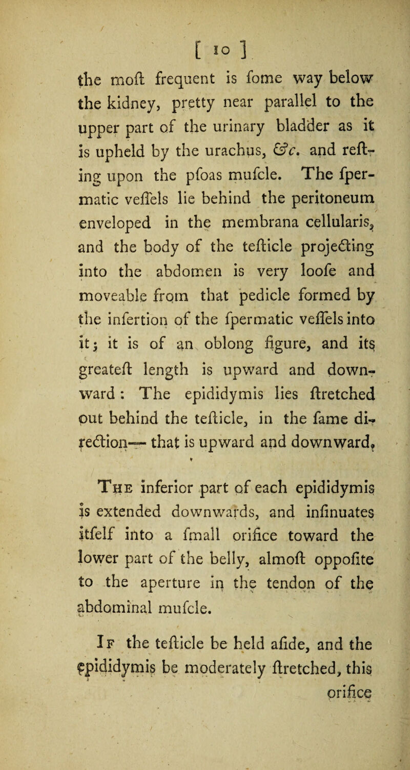 [ IO J the moft frequent is fome way below the kidney, pretty near parallel to the upper part of the urinary bladder as it Is upheld by the urachus, &c. and reft- ing upon the pfoas mufcle. The fper- matic veffels lie behind the peritoneum enveloped in the membrana cellularis^ and the body of the tefticle proje&ing Into the abdomen is very loofe and moveable from that pedicle formed by the infertion of the fpermatic veffels into it y it is of an oblong figure, and it§ c. greateft length is upward and down¬ ward : The epididymis lies ftretched put behind the tefticle, in the fame di-? re£tioii“ that is upward and downward* * The inferior part of each epididymis is extended downwards, and infinuates Itfelf into a fmall orifice toward the lower part of the belly, almoft oppofite to the aperture in the tendon of the abdominal mufcle. If the tefticle be held afide, and the epididymis be moderately ftretched, this orifice