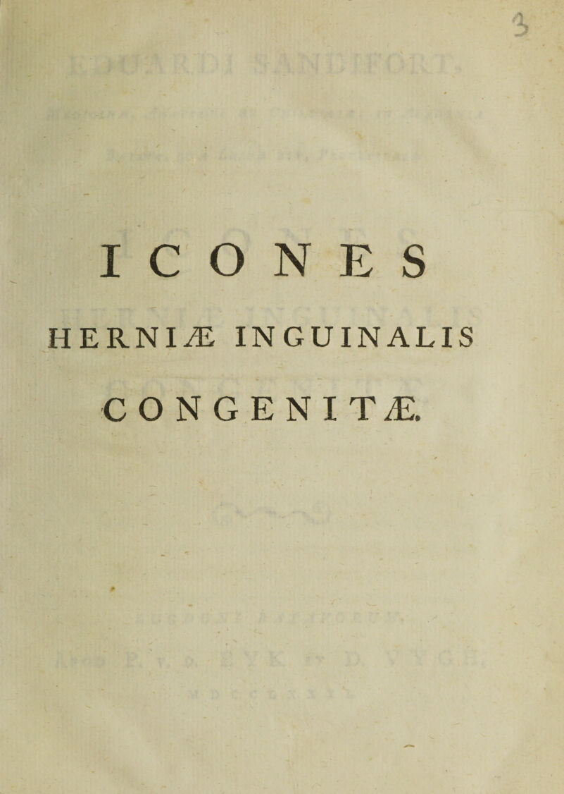 ICONES HERNICE INGUINALIS CONGENITAE.