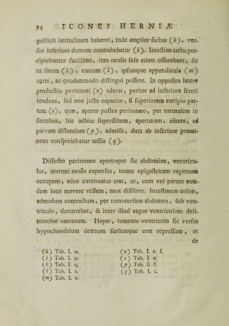 , ( ICONES H E R N I M pollicis latitudinem haberet, inde amplior faclus (/z), ver- fus inferiora demum contrahebatur Inteftina tadiu per¬ cipiebantur facillime, imo oculis fefe etiam offerebant, fic ut ileum , coecum (/) , ipfmsque appendicula Qm) cerni, ac quodammodo diflingui poffent. In oppofito latere produdlio peritonei (ii) aderat, pariter ad inferiora fcroti tendens, fed non jufto capacior, fi fuperiorera excipio par- « . • , ' . , . ... . ' . ^ . » •. • 4 tem (o), qua?, aperto poftea peritonaeo, per naturalem in fostubus, hic adhuc fuperflitem, aperturam, aerem, ad parvam diftantiam (p)-> admifit, dum ab inferiore promi¬ nens confpiciebatur teftis (q). Diffe&o peritonaeo apertoque fic abdomine, ventricu¬ lus, enormi modo expanfus, totam epigaftricam regionem occupans, adeo extenuatus erat, ut, cum vel parum eun¬ dem loco movere vellem, mox diffiliret. Inteftinum colon, admodum contradlum, per transverfum abdomen, fub ven¬ triculo, decurrebat, & inter illud atque ventriculum deli¬ tescebat omentum. Hepar, tumente ventriculo fic verfus hypochondrium dextrum furfumque erat repreflum , ut de (/z) Tab. I. o. Qi) Tab, I. p. (&) Tab. I. q. (/) Tab. I. r. (tn) Tab. I. s. frc) Tab. II e. f. (o ) Tab. I. e. dp) Tab. I. f. (<7) Tab. I. c.